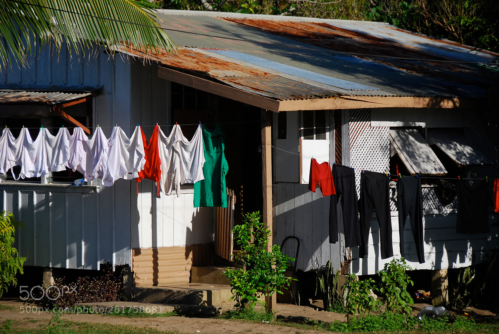 Nikon D80 sample photo. Washing day at nuku'alofa. photography