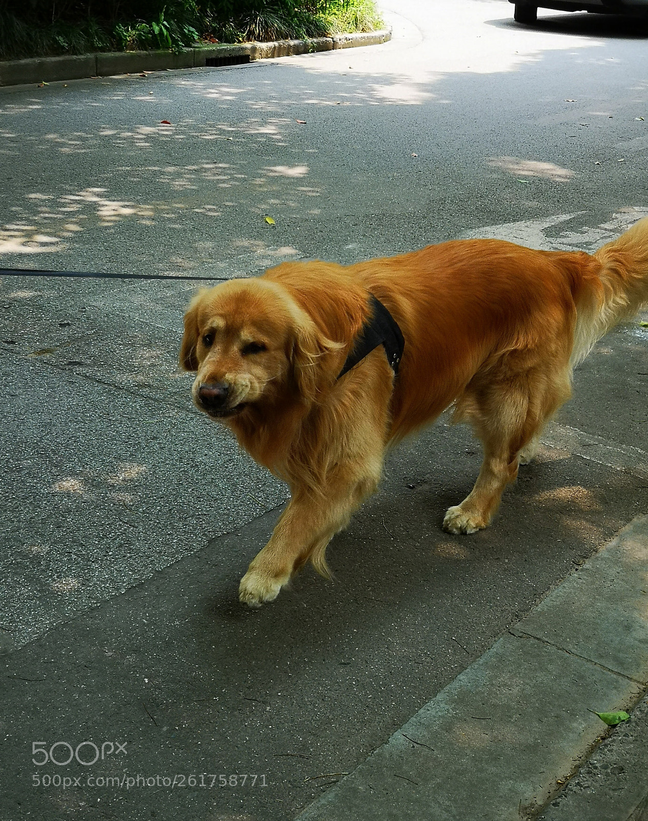 HUAWEI P20 Pro sample photo. Eye connect photography