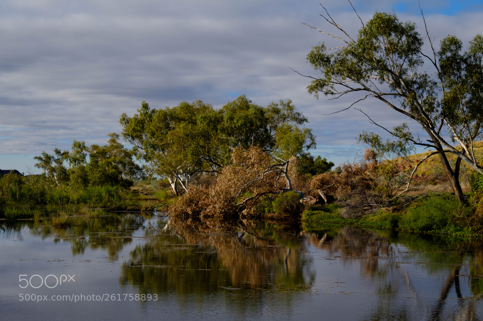 Fujifilm X-T2 sample photo. Pyton pool / australia photography