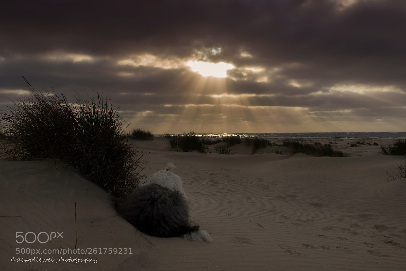 Canon EOS 7D Mark II sample photo. Jop's sunset photography