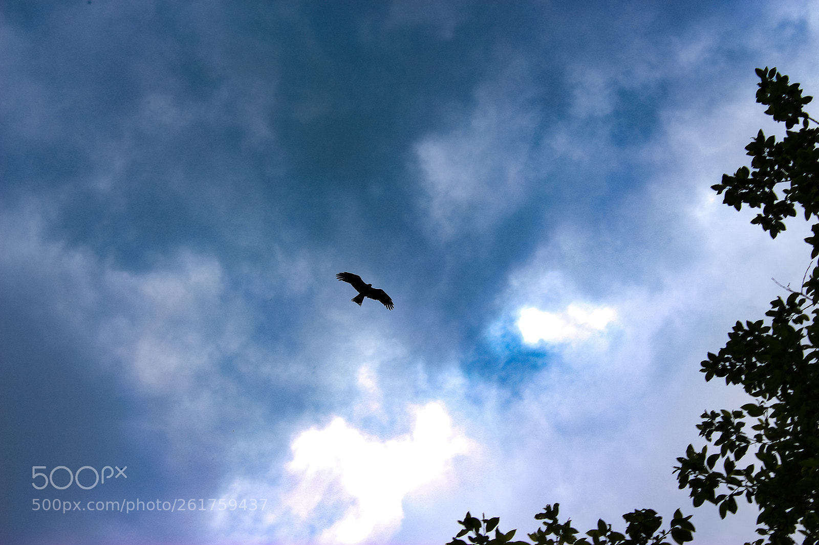 Canon EOS 700D (EOS Rebel T5i / EOS Kiss X7i) sample photo. Untitled photography