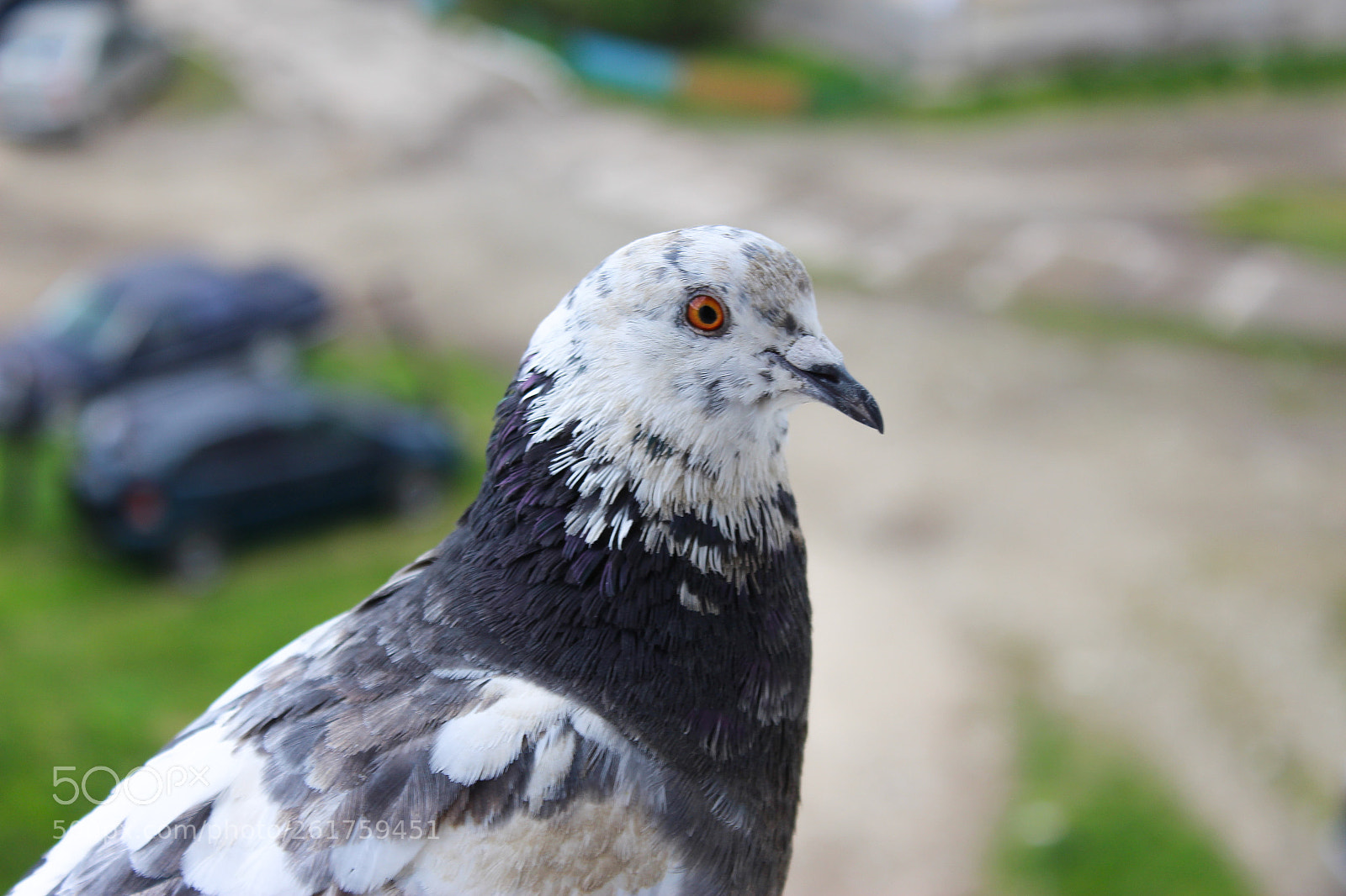 Canon EOS 700D (EOS Rebel T5i / EOS Kiss X7i) sample photo. Untitled photography