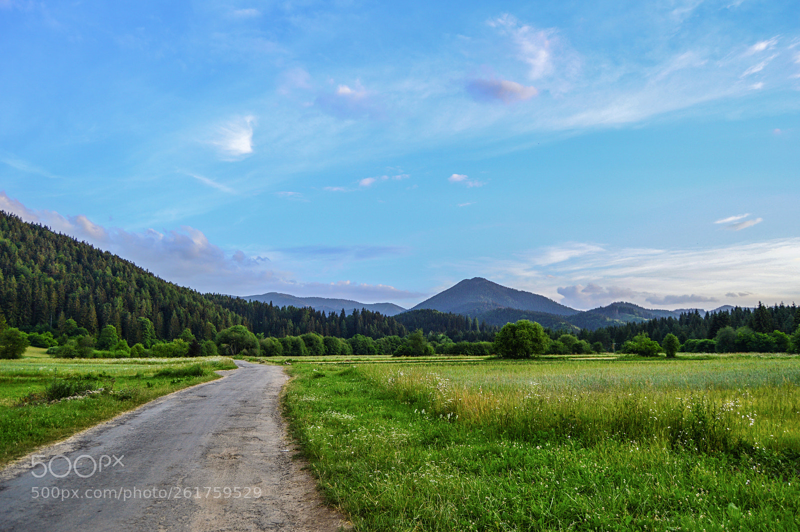 Nikon D3200 sample photo. Slovak nature photography