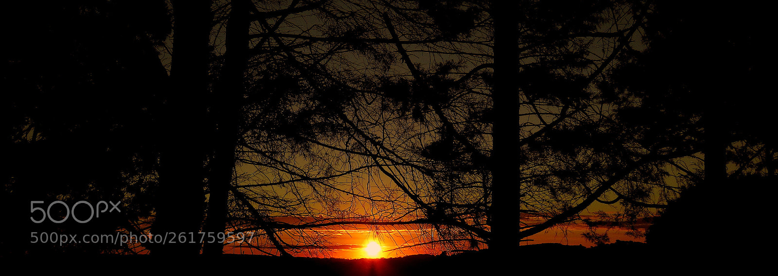 Canon PowerShot SX60 HS sample photo. Colors in the sunset photography
