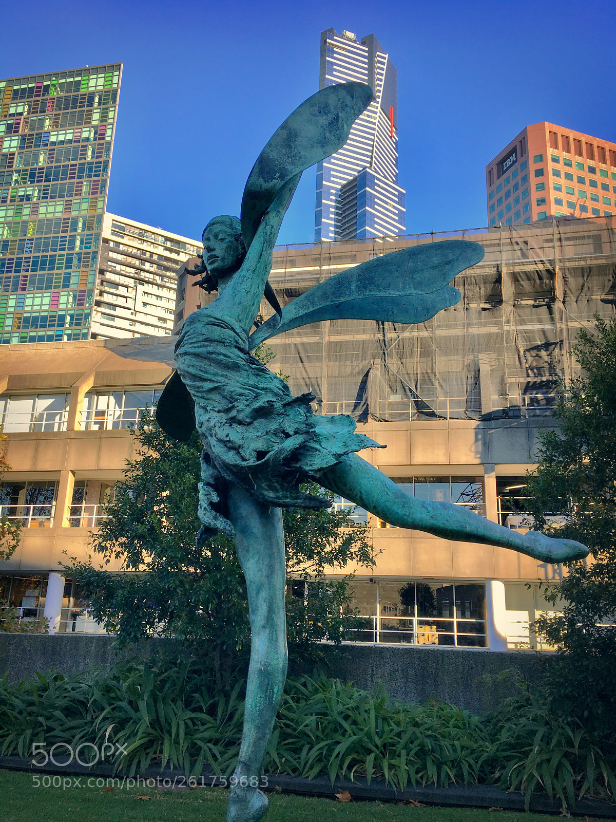 Apple iPhone 6s sample photo. ‘dragonfly’ photography