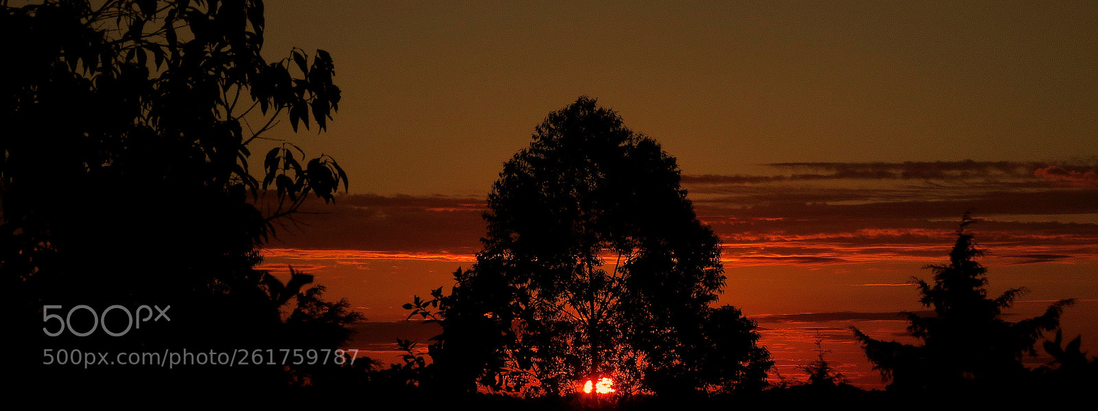 Canon PowerShot SX60 HS sample photo. Magic sunset photography