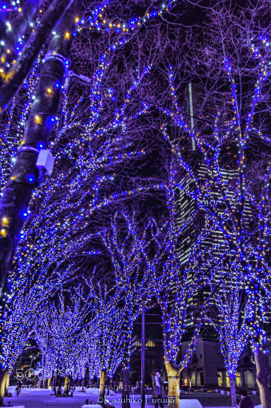 Canon EOS 6D sample photo. Yokohama land mark tower photography