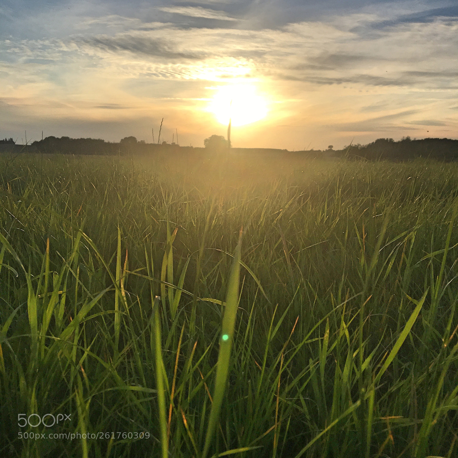Apple iPhone 6s sample photo. Sunset photography