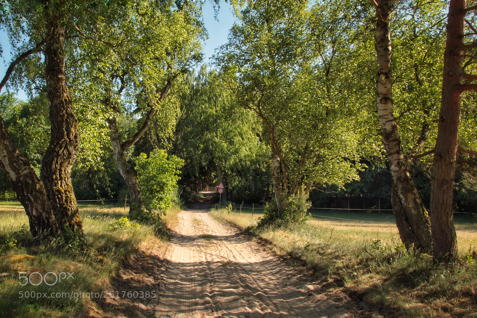 Canon EOS-1D Mark IV sample photo. Untitled photography