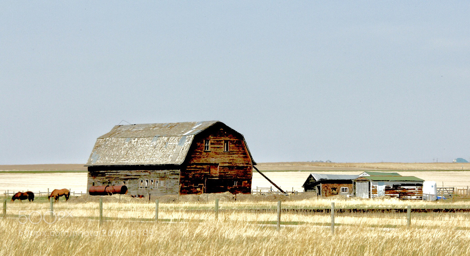 Canon EOS 60D sample photo. Rural farm photography