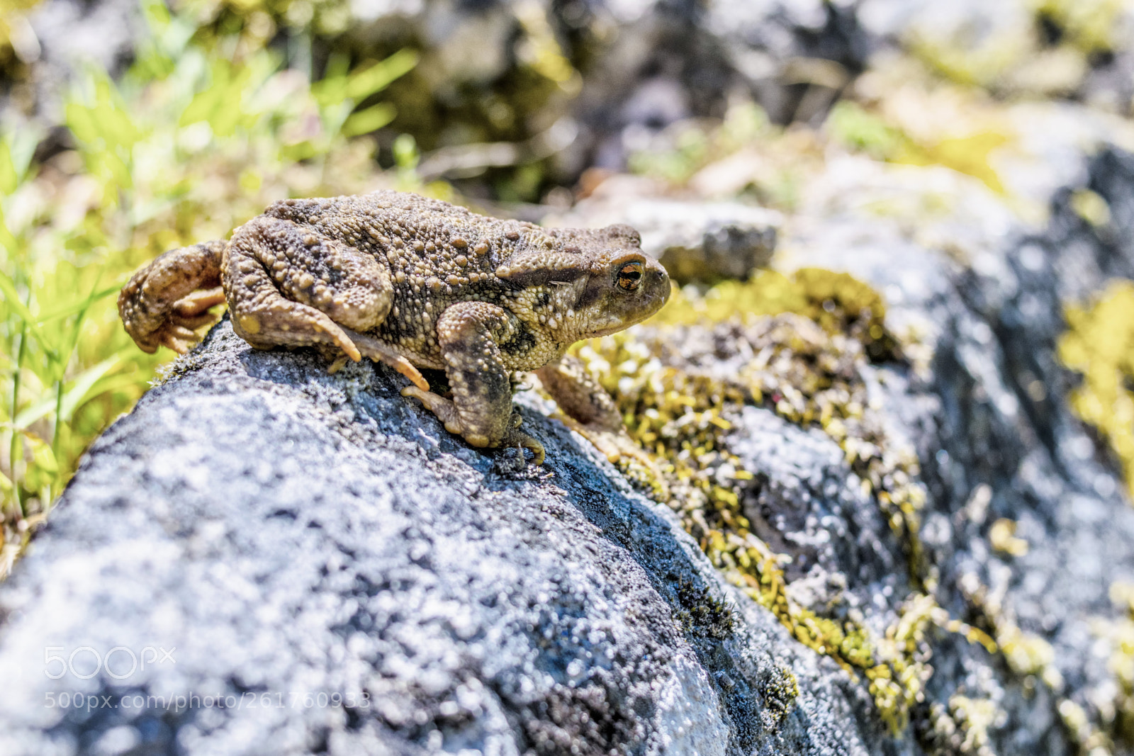 Nikon D3300 sample photo. Clavealta photography