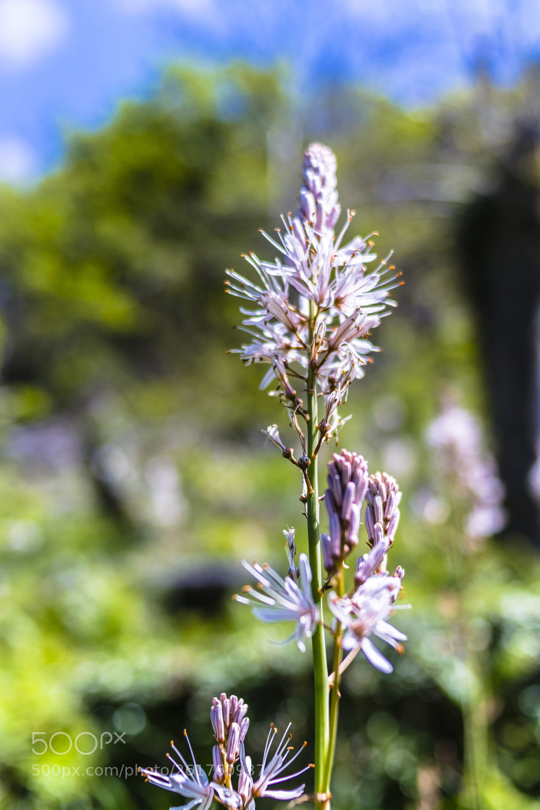 Nikon D3300 sample photo. () photography