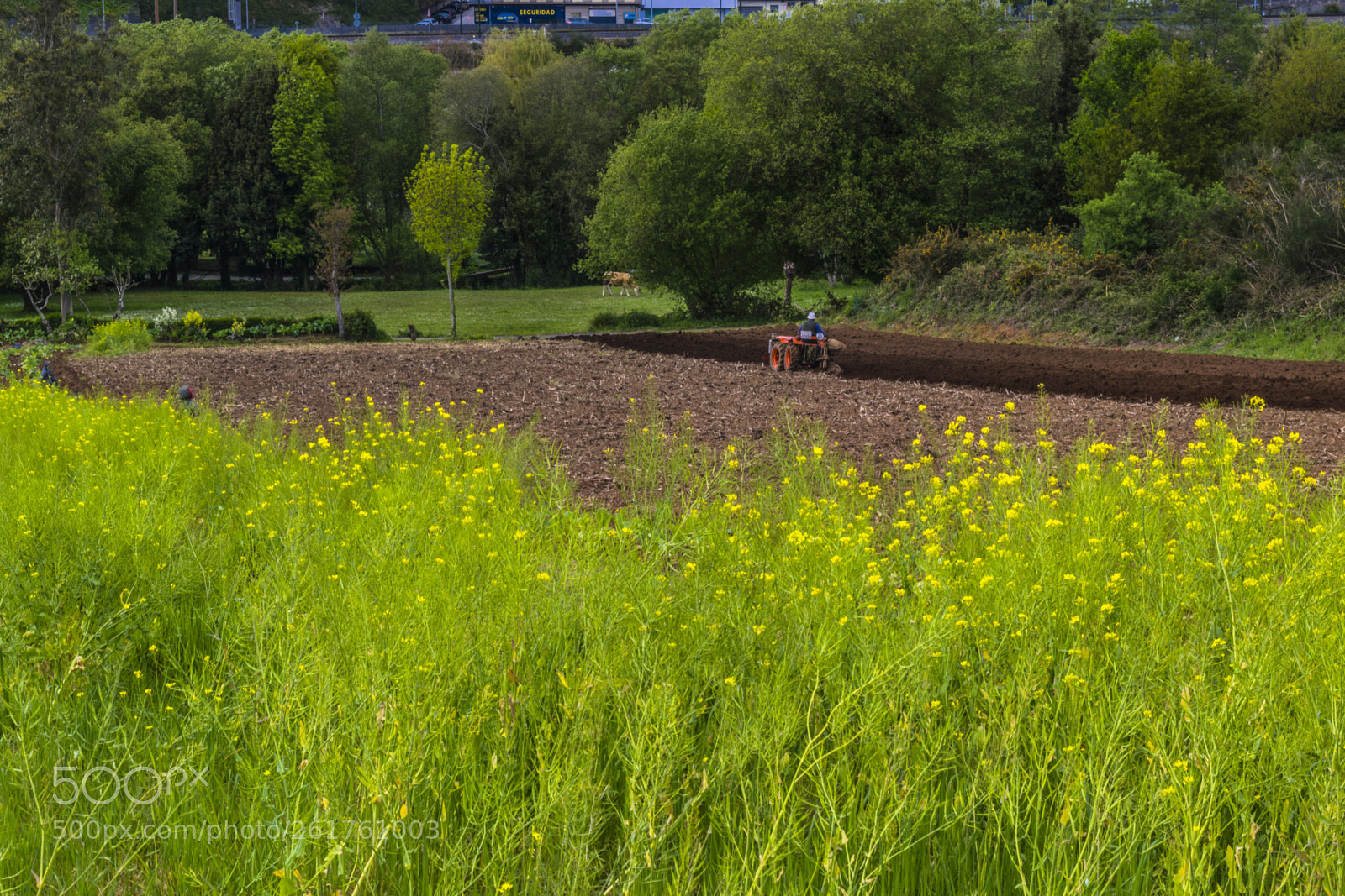 Nikon D3300 sample photo. Mundo rural photography