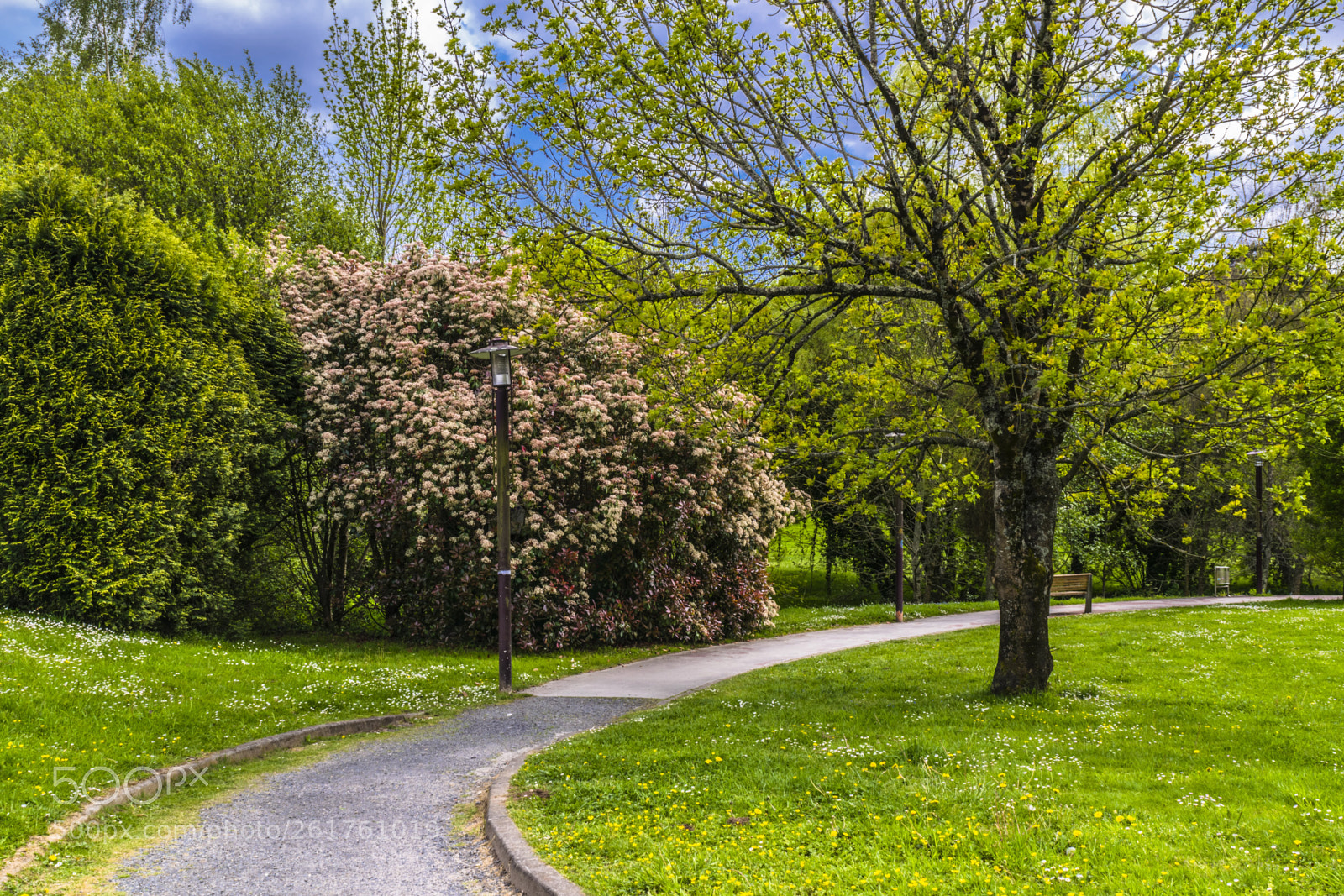 Nikon D3300 sample photo. Colores primaverales photography