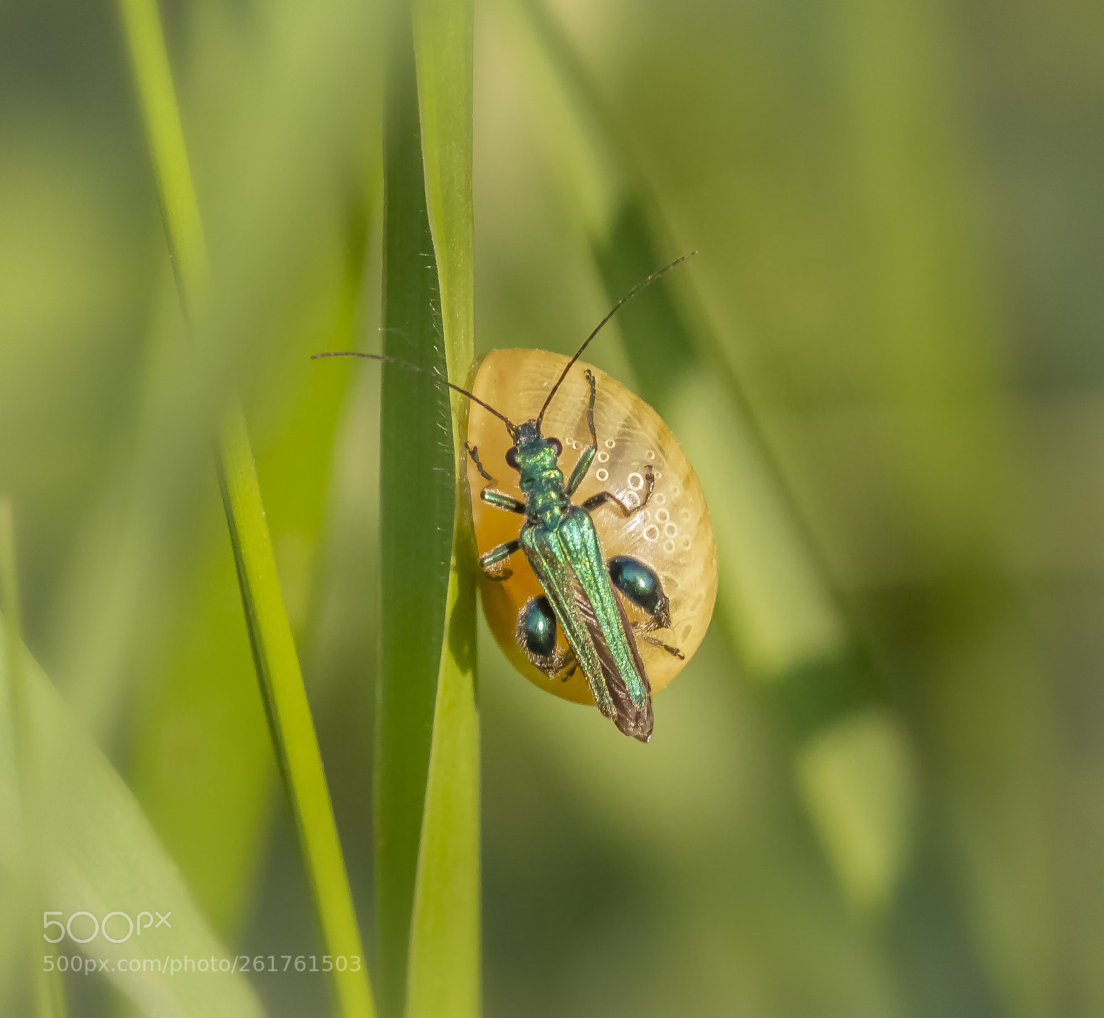 Canon EOS 7D sample photo. Visitor photography