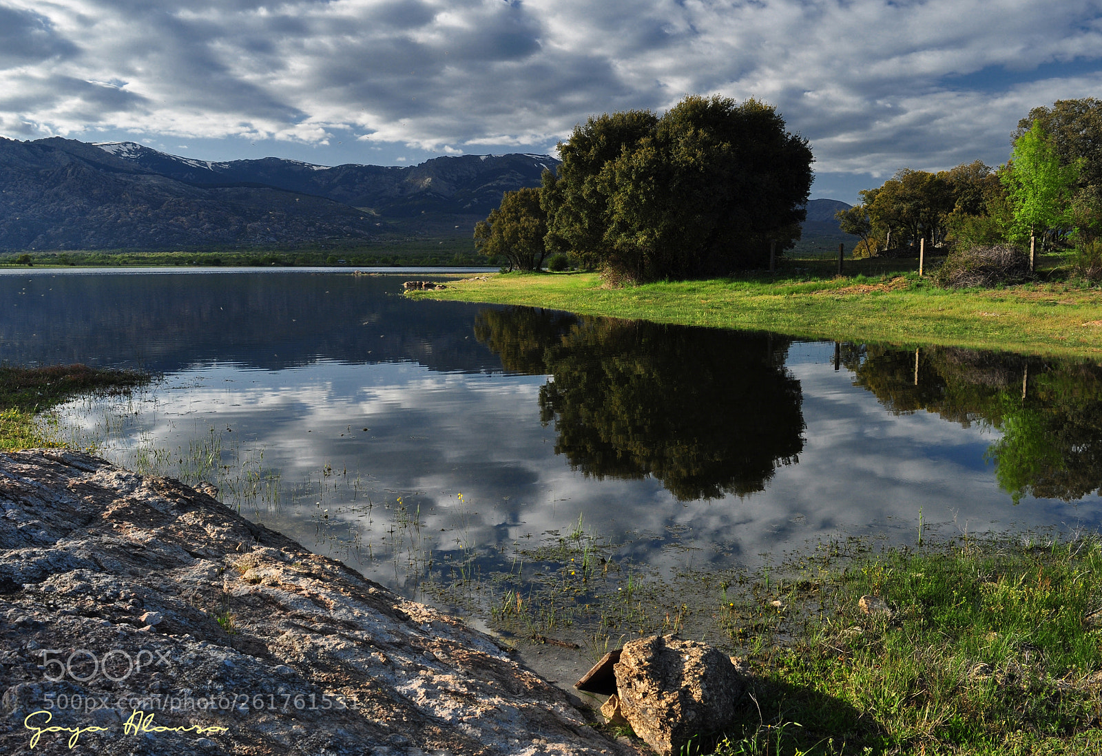 Nikon D5000 sample photo. Reflejos photography