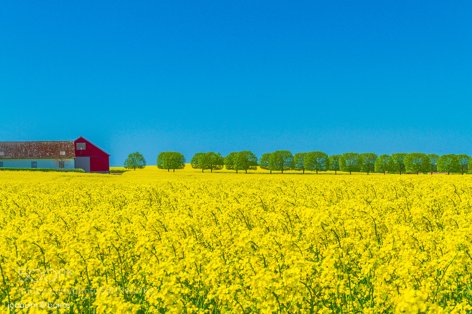 Canon EOS 7D sample photo. Red door photography