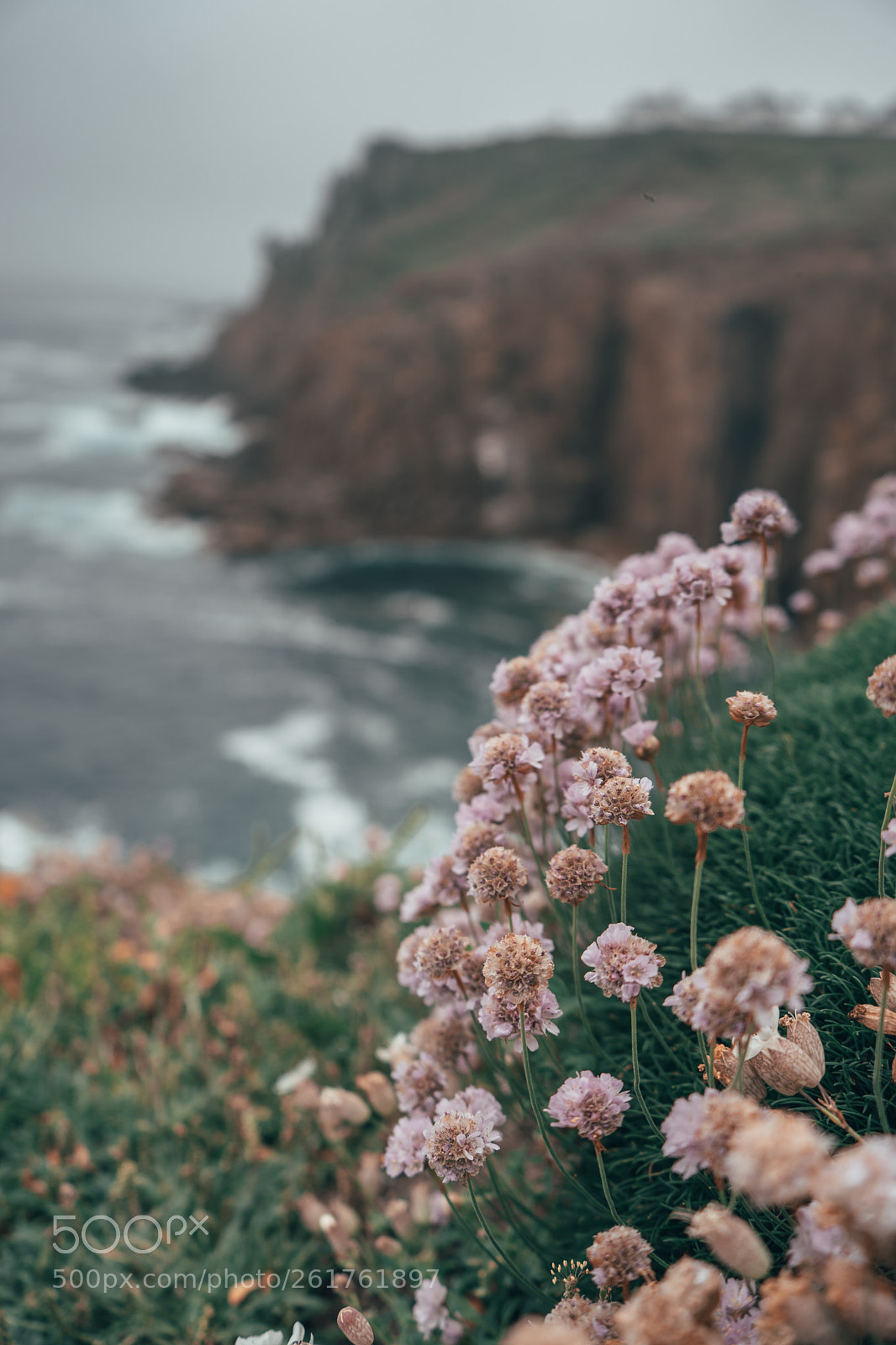 Sony a7 III sample photo. At lands end photography