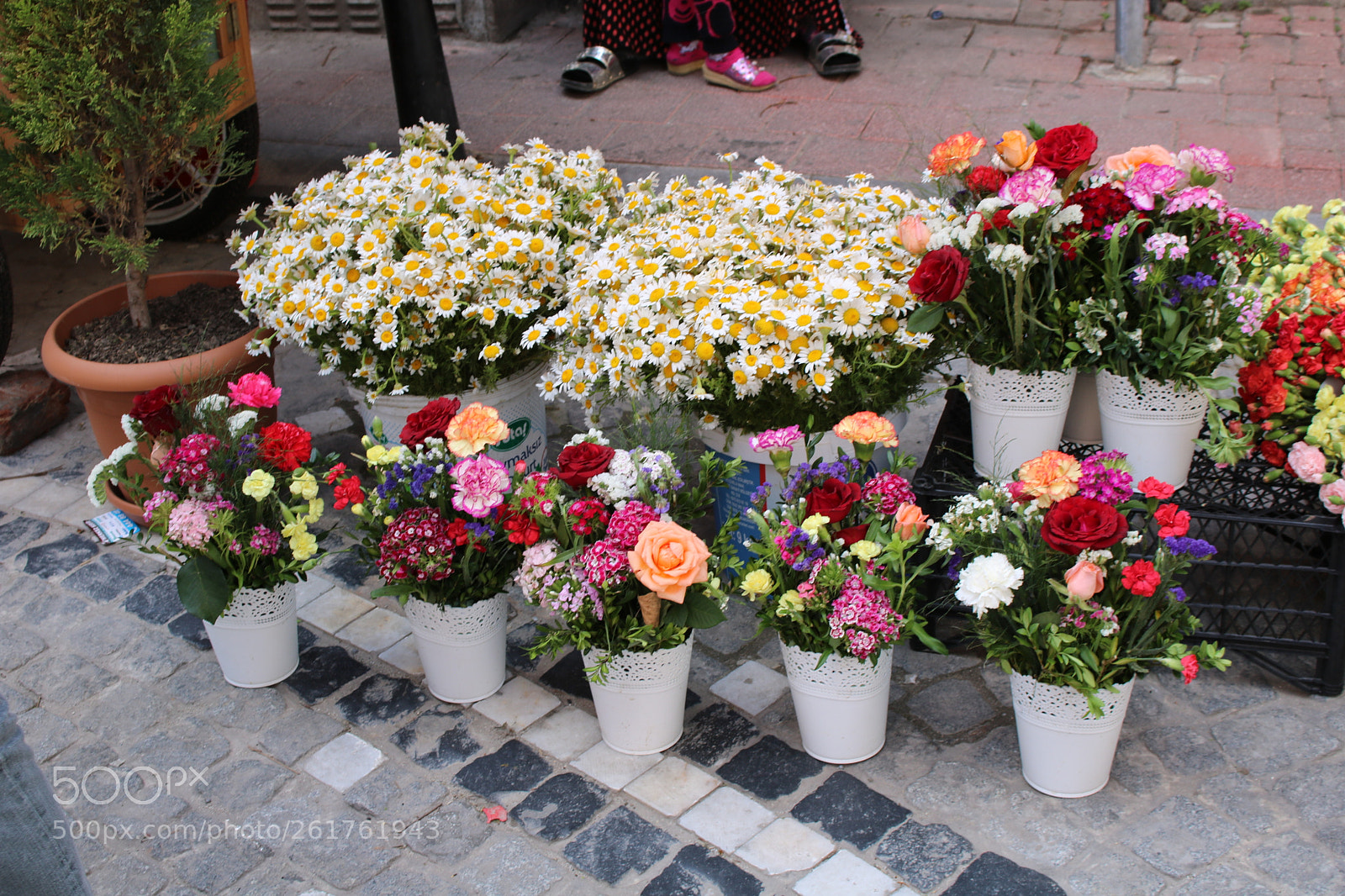 Canon EOS 750D (EOS Rebel T6i / EOS Kiss X8i) sample photo. Untitled photography