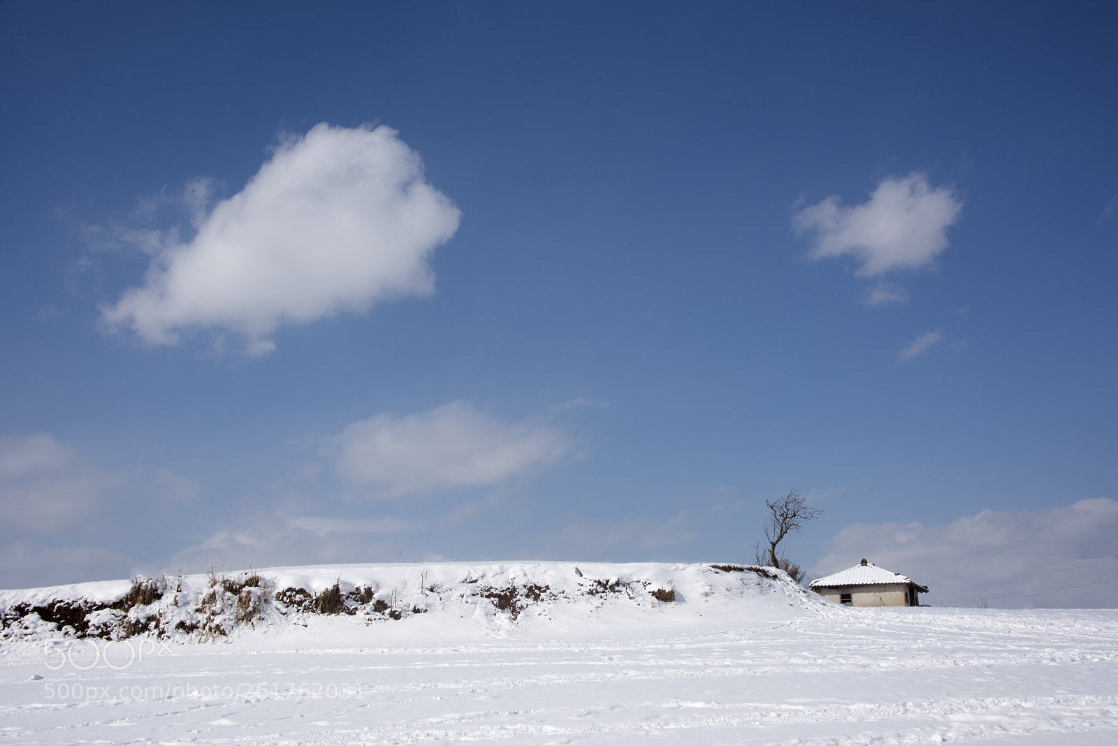 Nikon D810 sample photo. Lonely - serching for photography