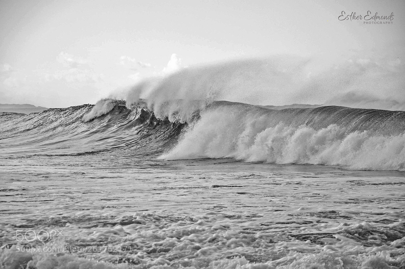 Nikon D90 sample photo. Wild and free photography