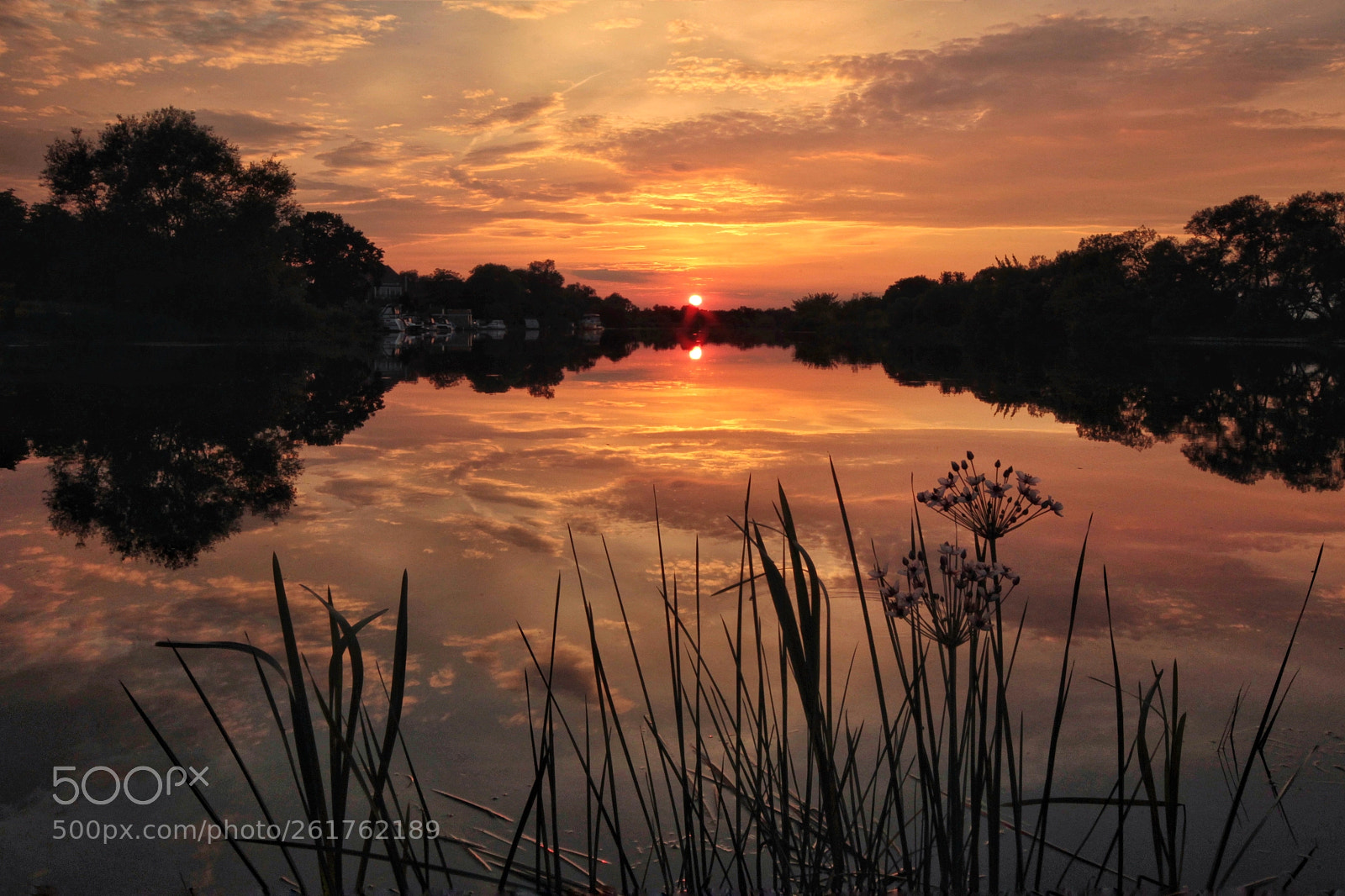 Canon EOS-1D Mark IV sample photo. Untitled photography