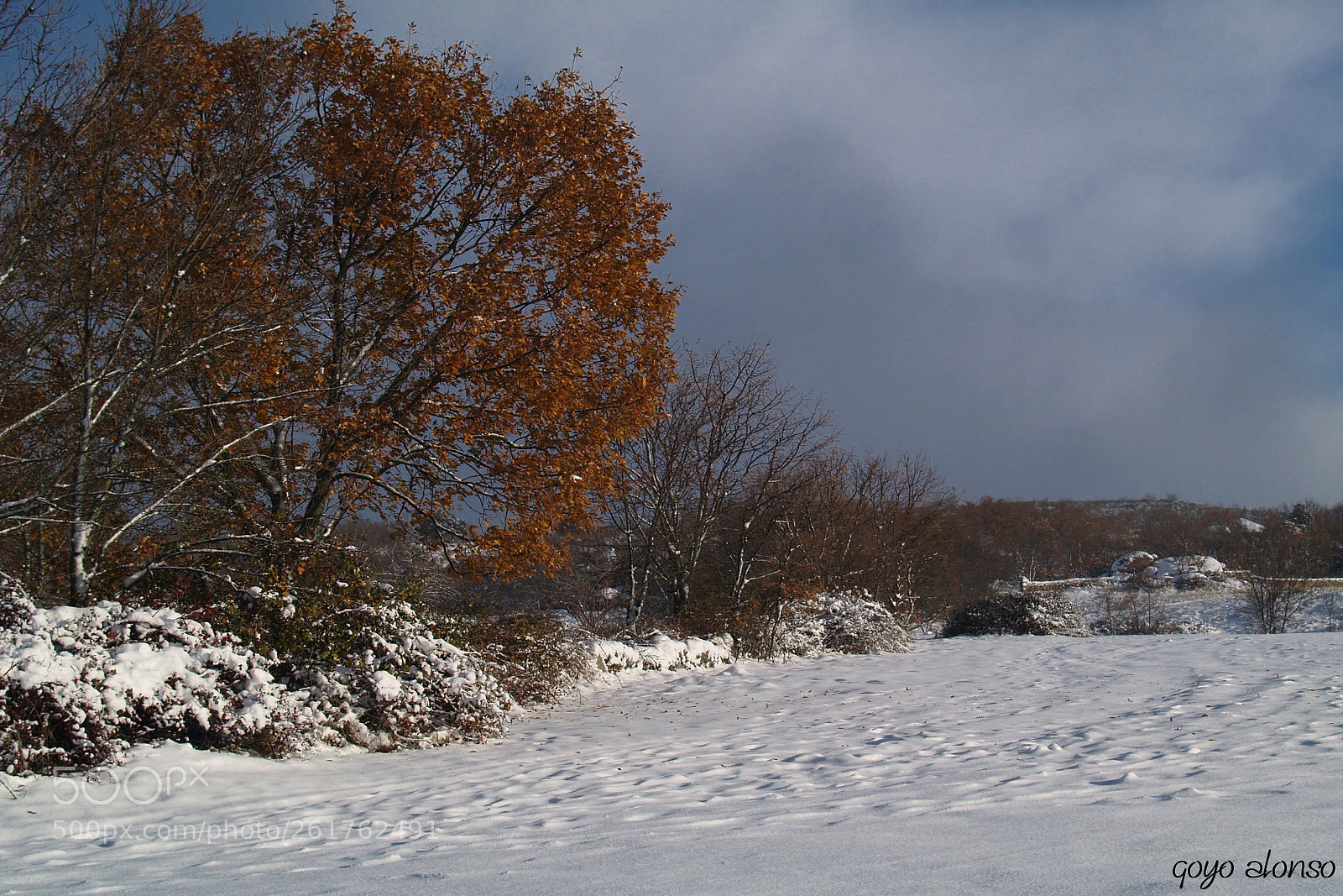 Olympus E-500 (EVOLT E-500) sample photo. Invernal photography