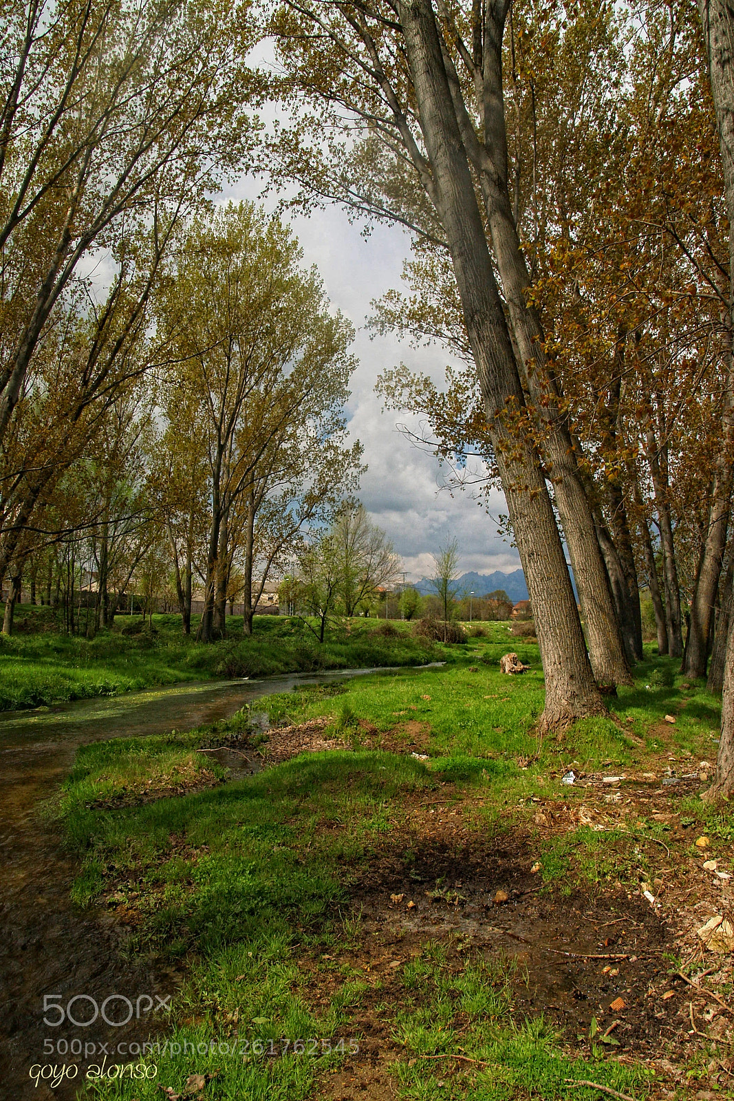 Olympus E-500 (EVOLT E-500) sample photo. Arboleda photography