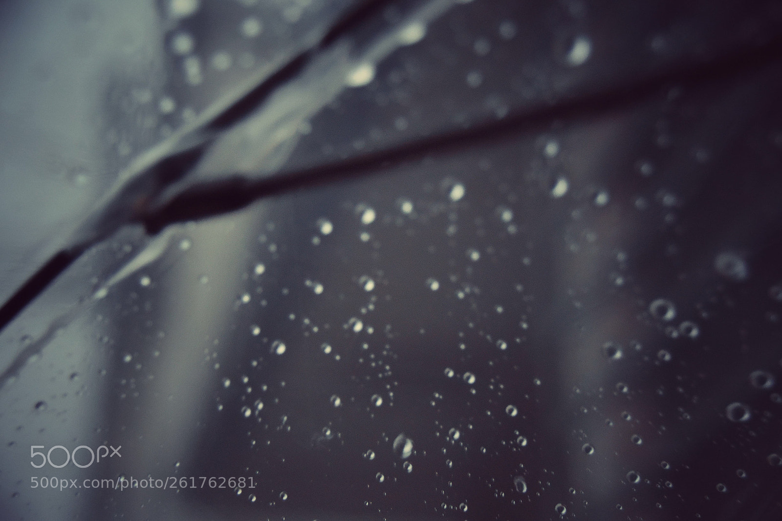 Nikon D3400 sample photo. Rain photography