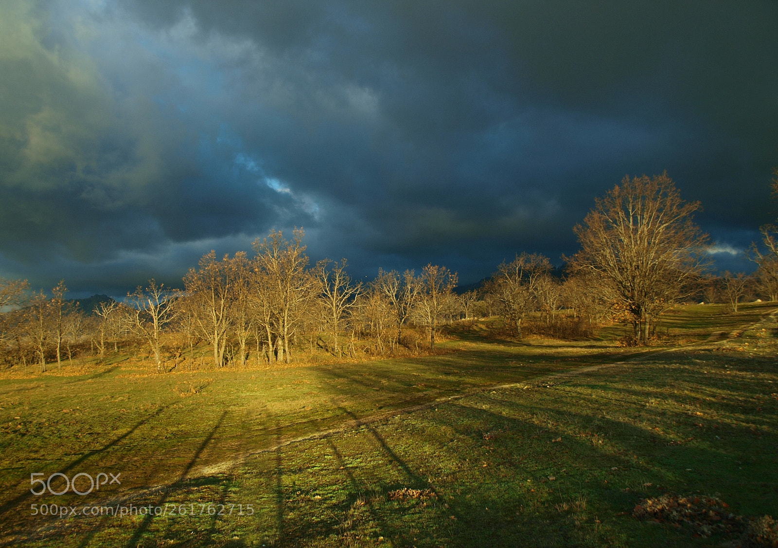 Olympus E-3 sample photo. Storm photography