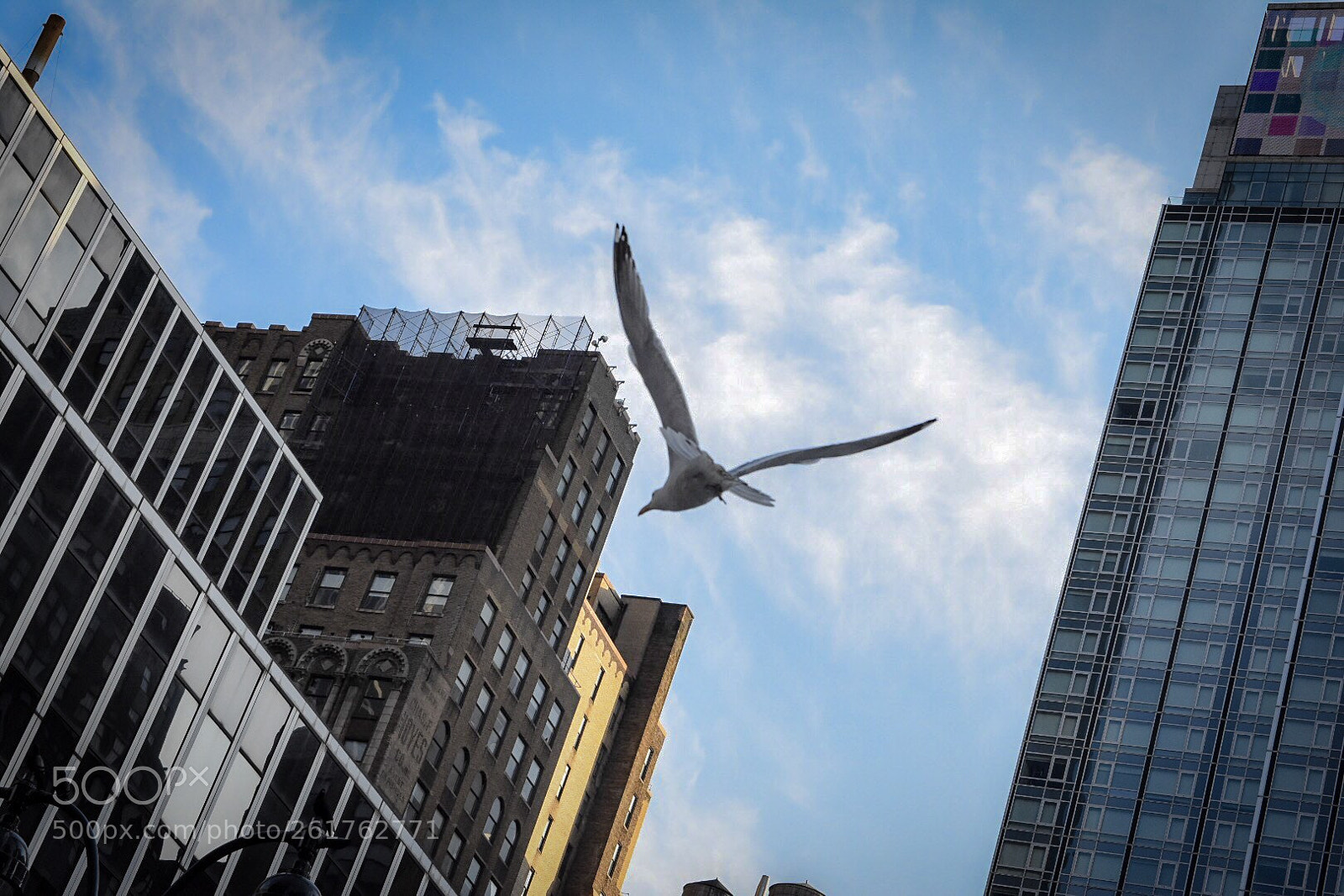 Nikon D7200 sample photo. Untitled photography