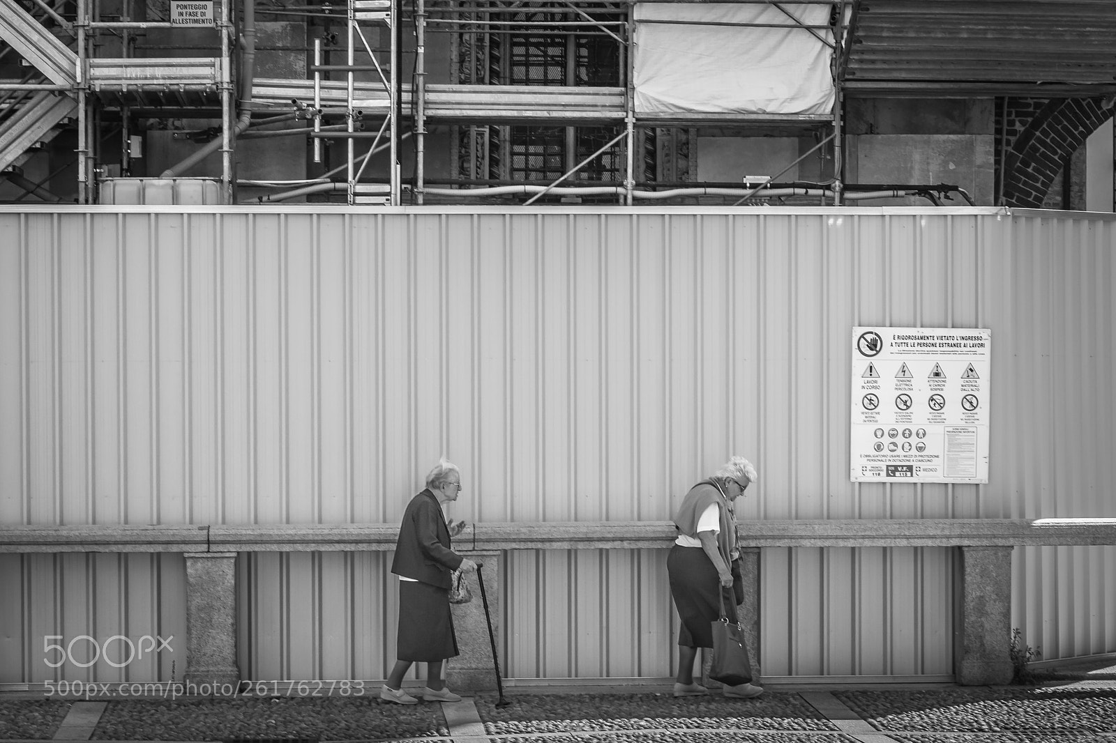 Nikon D7200 sample photo. Hurry up, adalgisa! photography