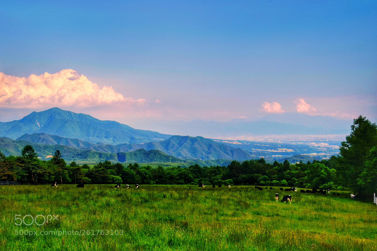 Nikon D3300 sample photo. Untitled photography