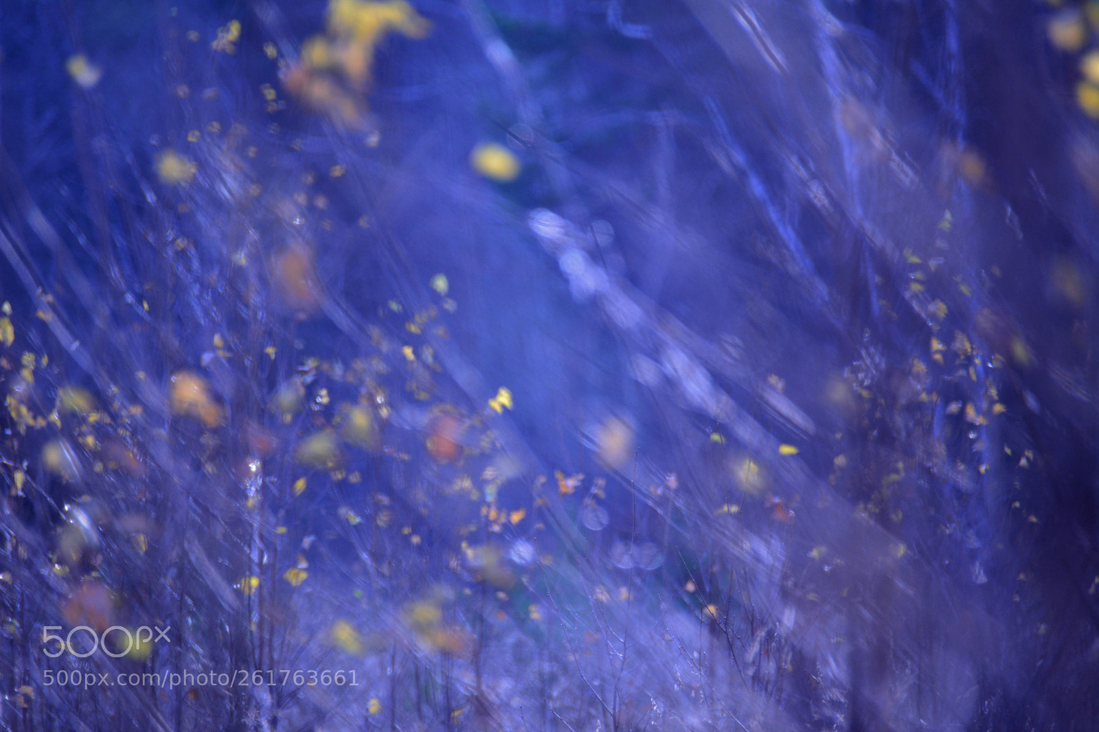 Nikon D7100 sample photo. Blue autumn photography