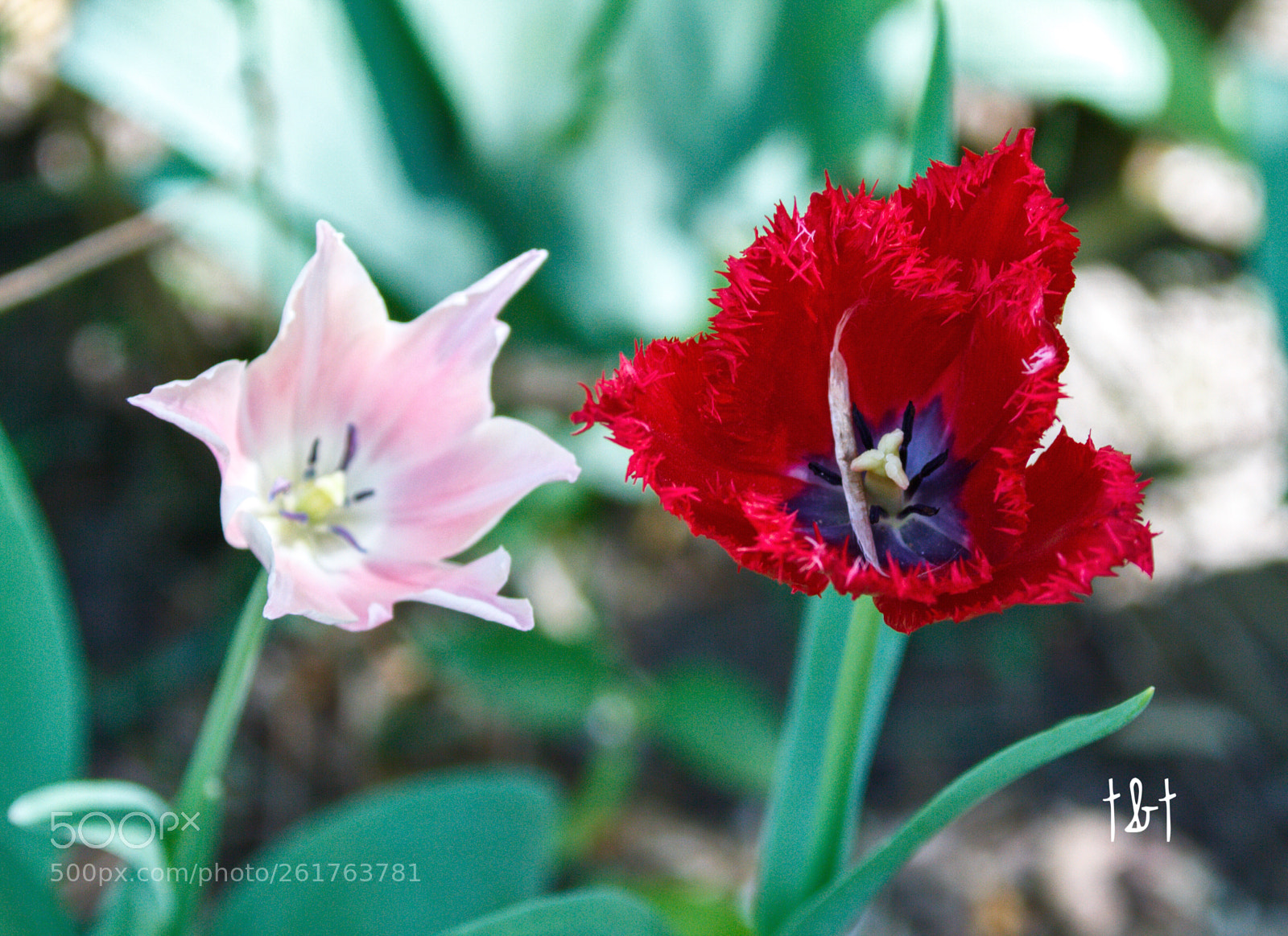 Canon EOS 7D sample photo. Untitled photography