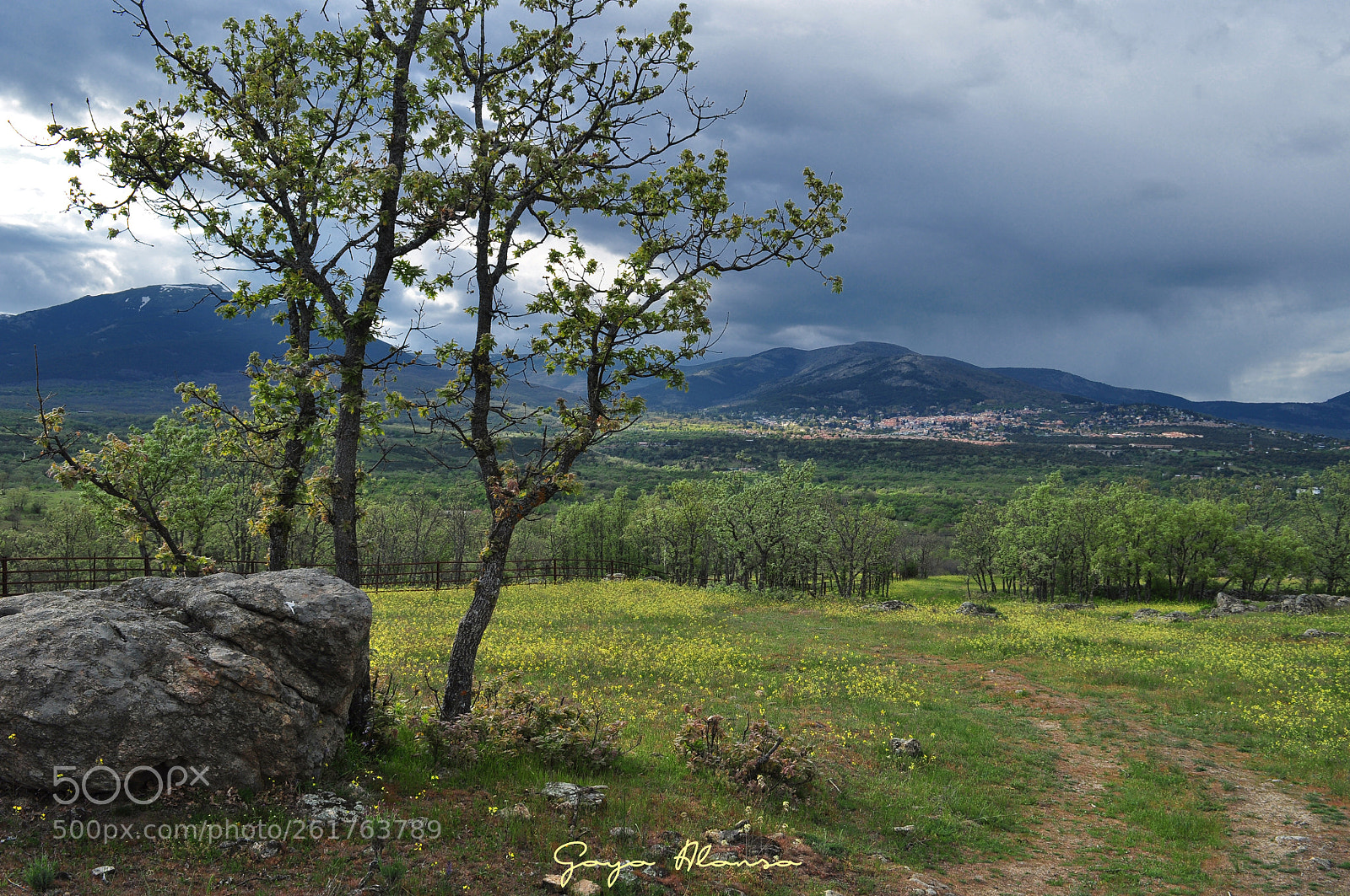 Nikon D5000 sample photo. Campo photography