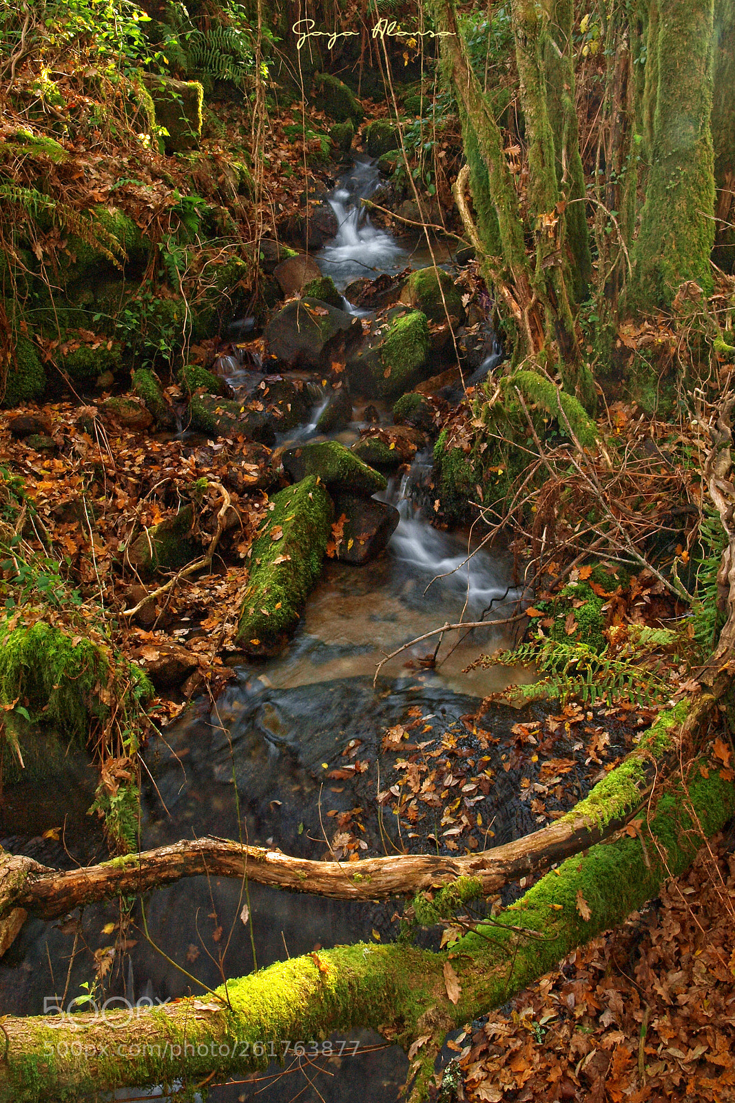 Olympus E-3 sample photo. Arroyos photography