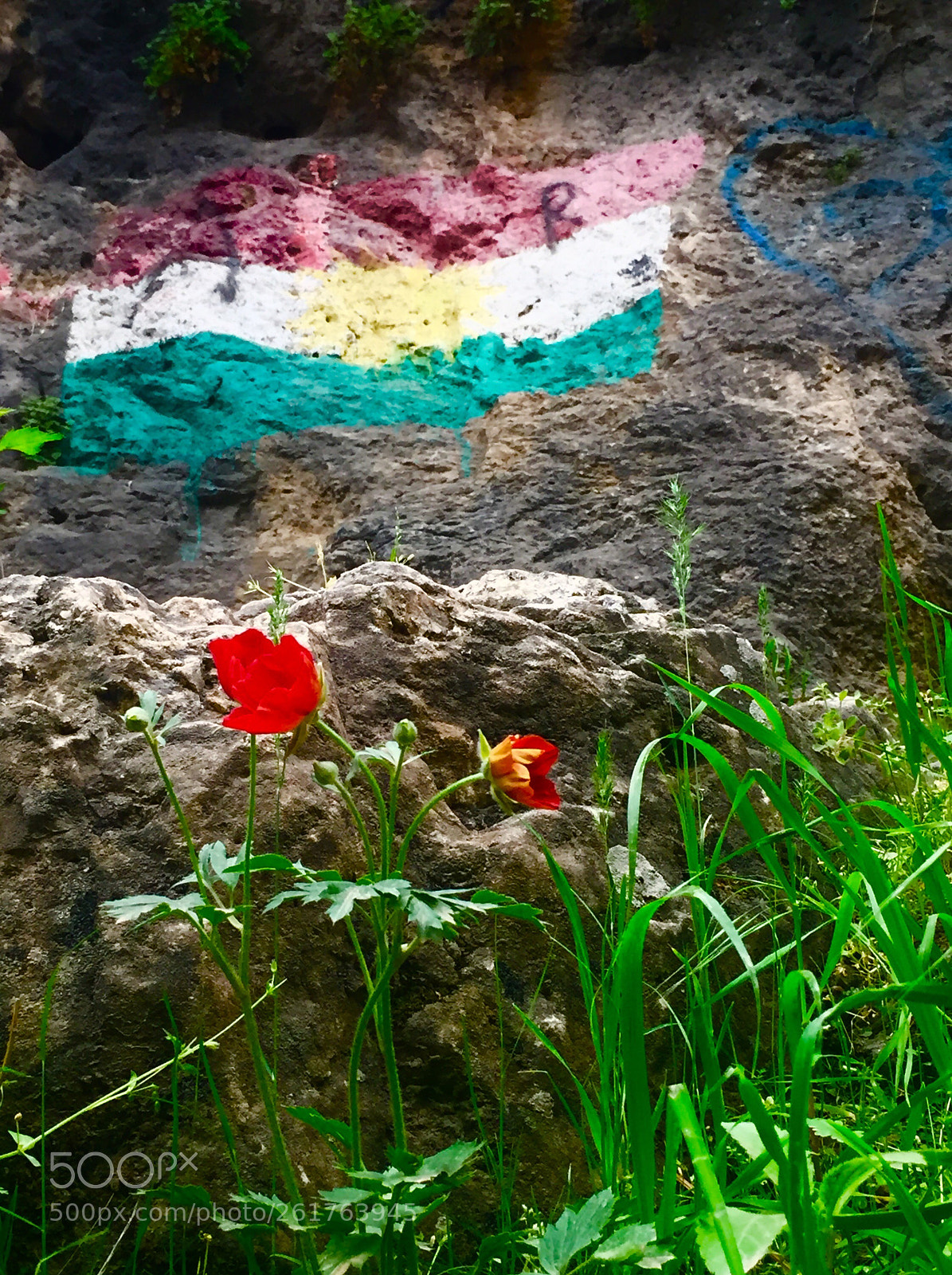 Apple iPhone 6 sample photo. Flag  photography