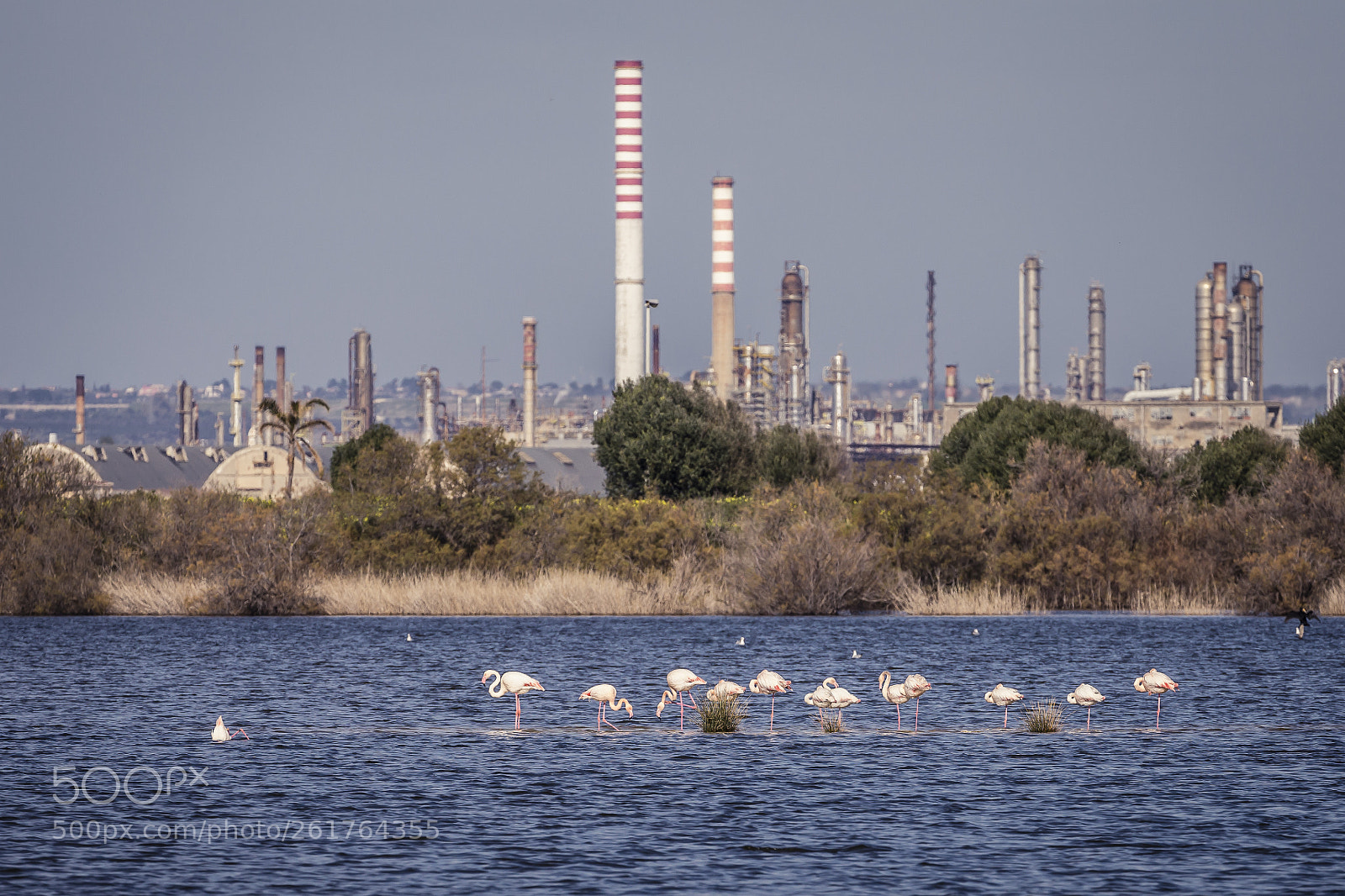 Canon EOS 6D sample photo. Riserva naturale saline di photography