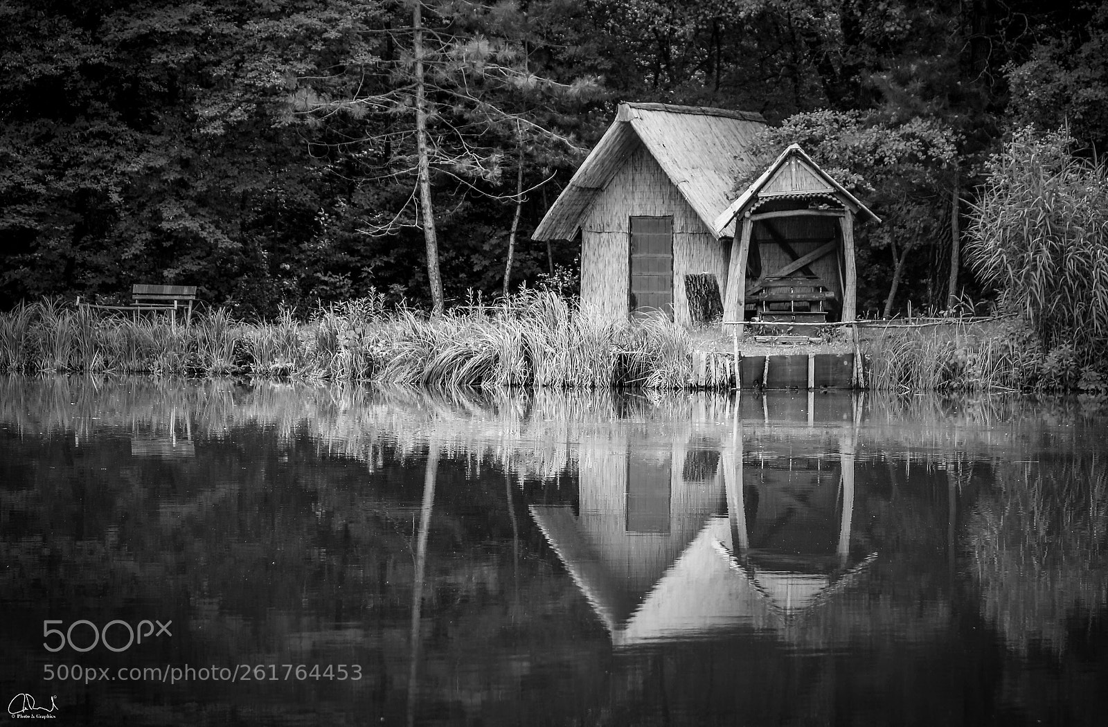 Canon EOS 70D sample photo. Reflection photography