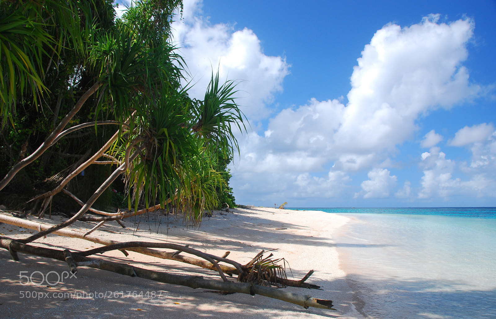 Nikon D80 sample photo. Tepuke island.  tuvalu. photography
