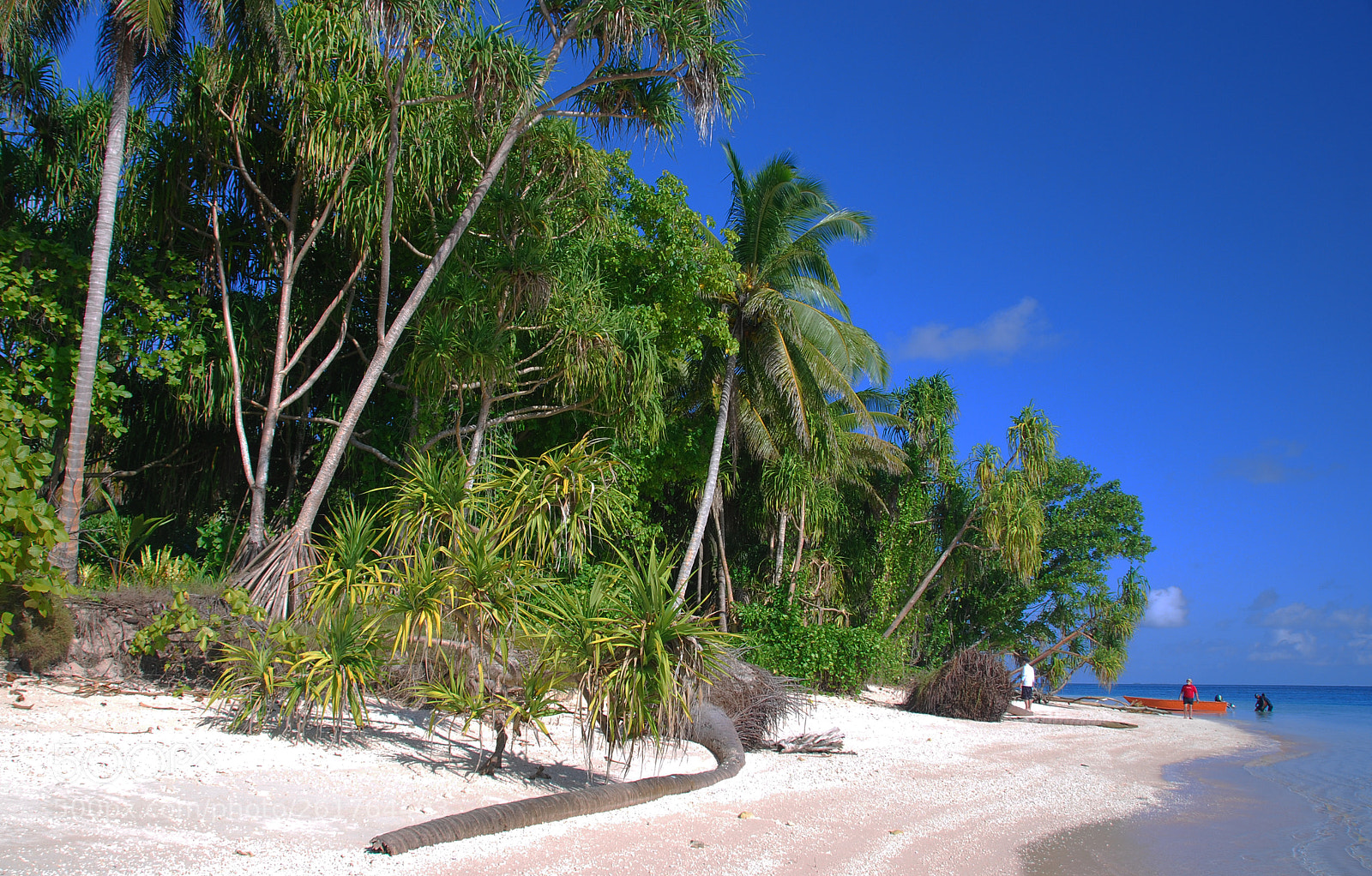 Nikon D80 sample photo. Tepuke island.  tuvalu. photography
