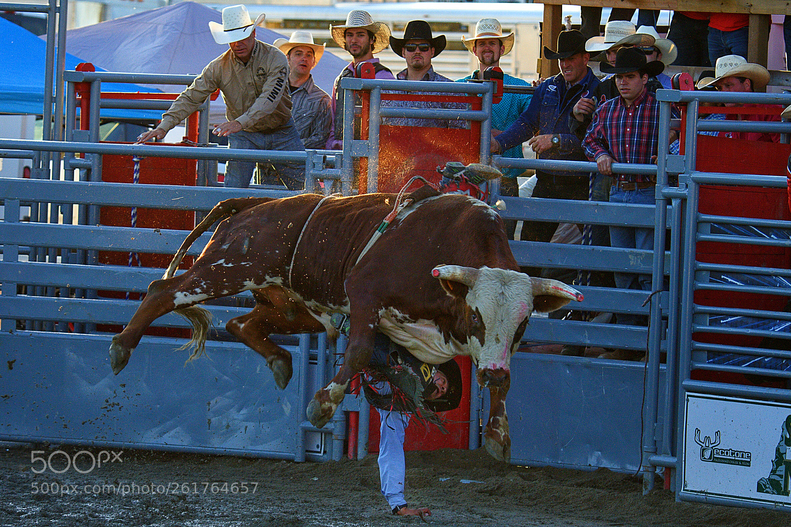 Nikon D7200 sample photo. Rodeo photography