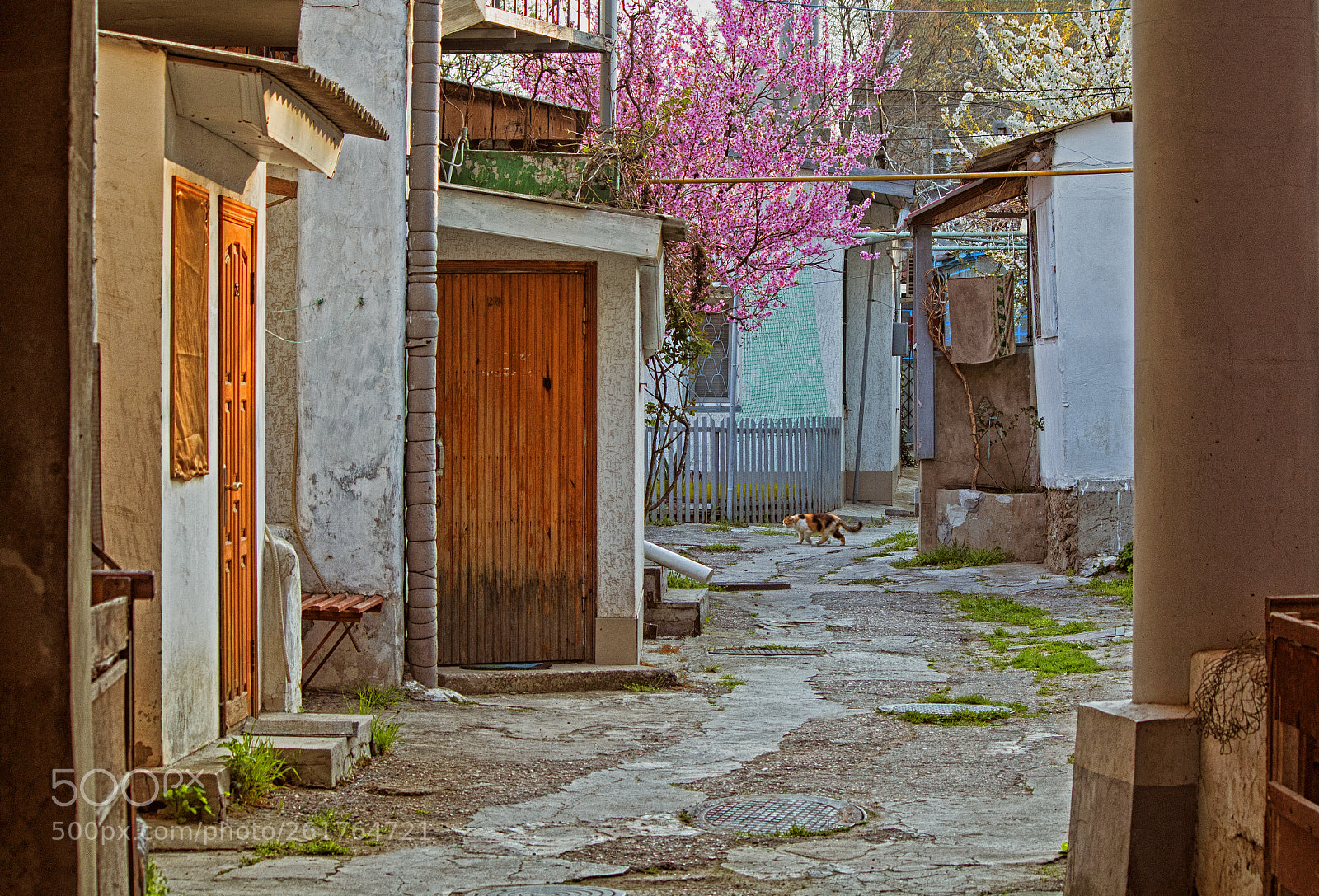 Canon EOS 1300D (EOS Rebel T6 / EOS Kiss X80) sample photo. Crimean yard photography