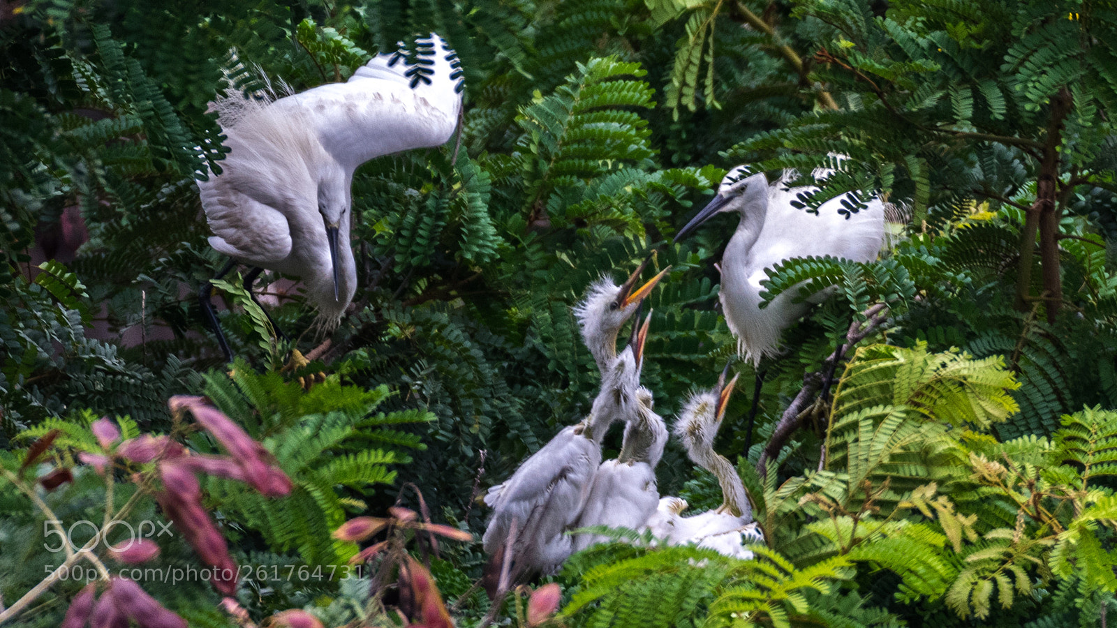 Nikon D5300 sample photo. The family !!!! photography