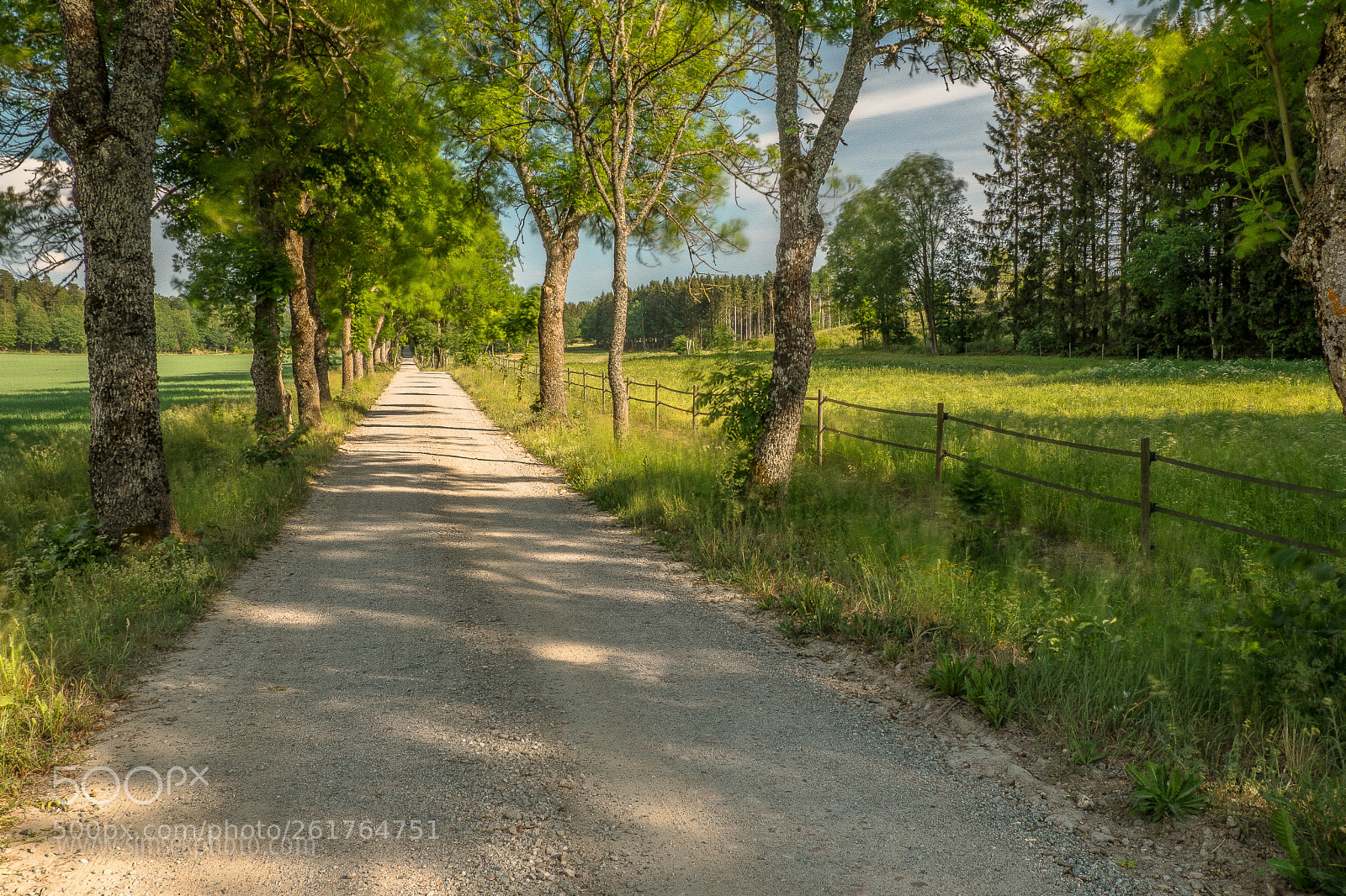 Fujifilm X-T2 sample photo. Swedish summer photography