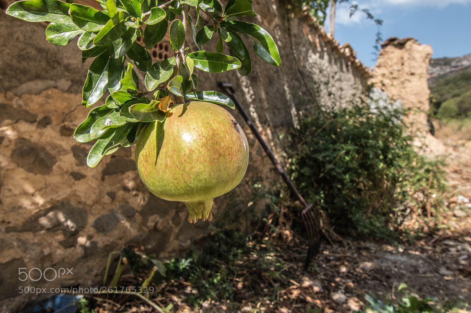 Canon EOS 70D sample photo. Granada, vilanova de meià photography