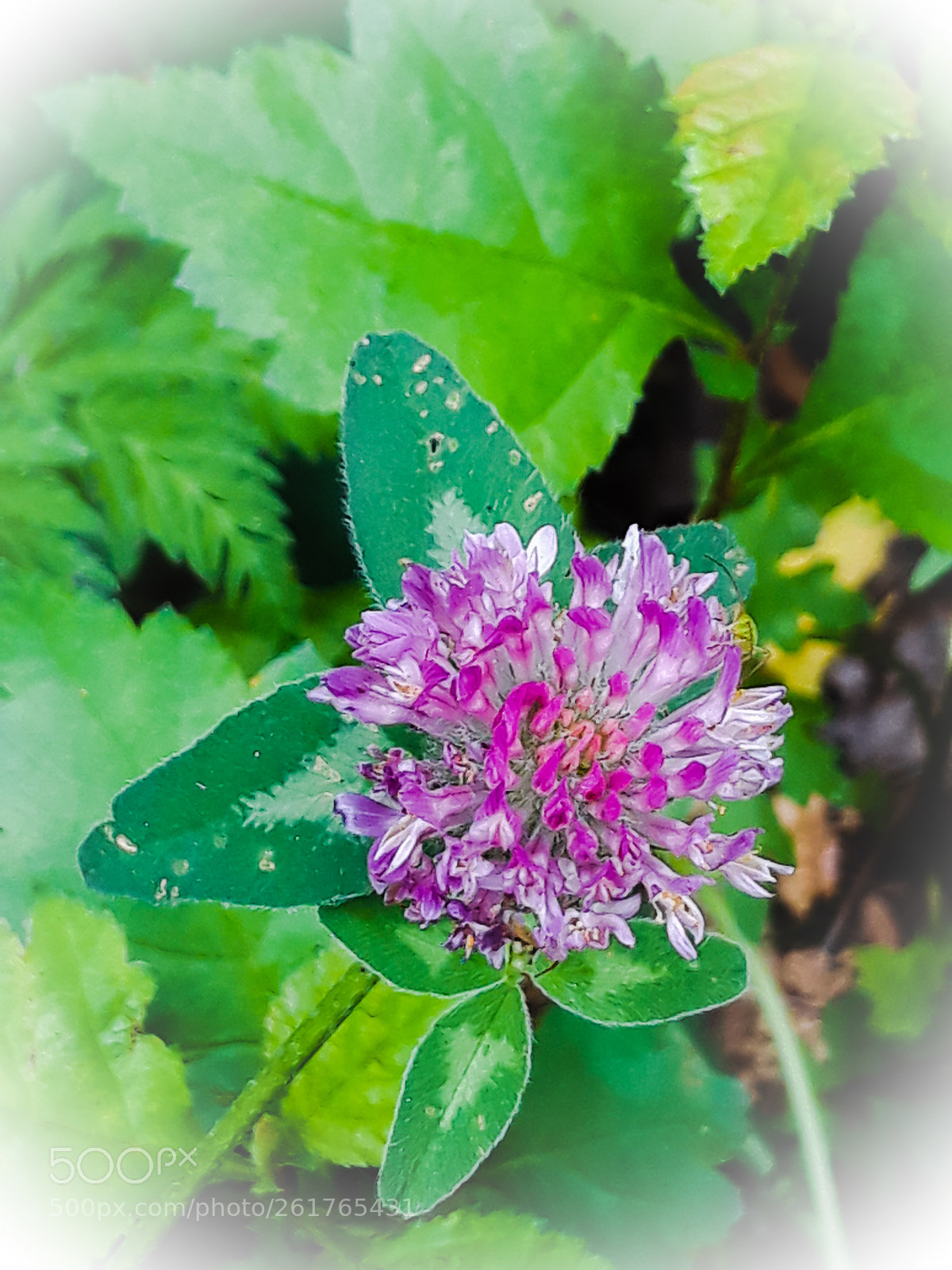 Samsung Galaxy J7 sample photo. Untitled photography