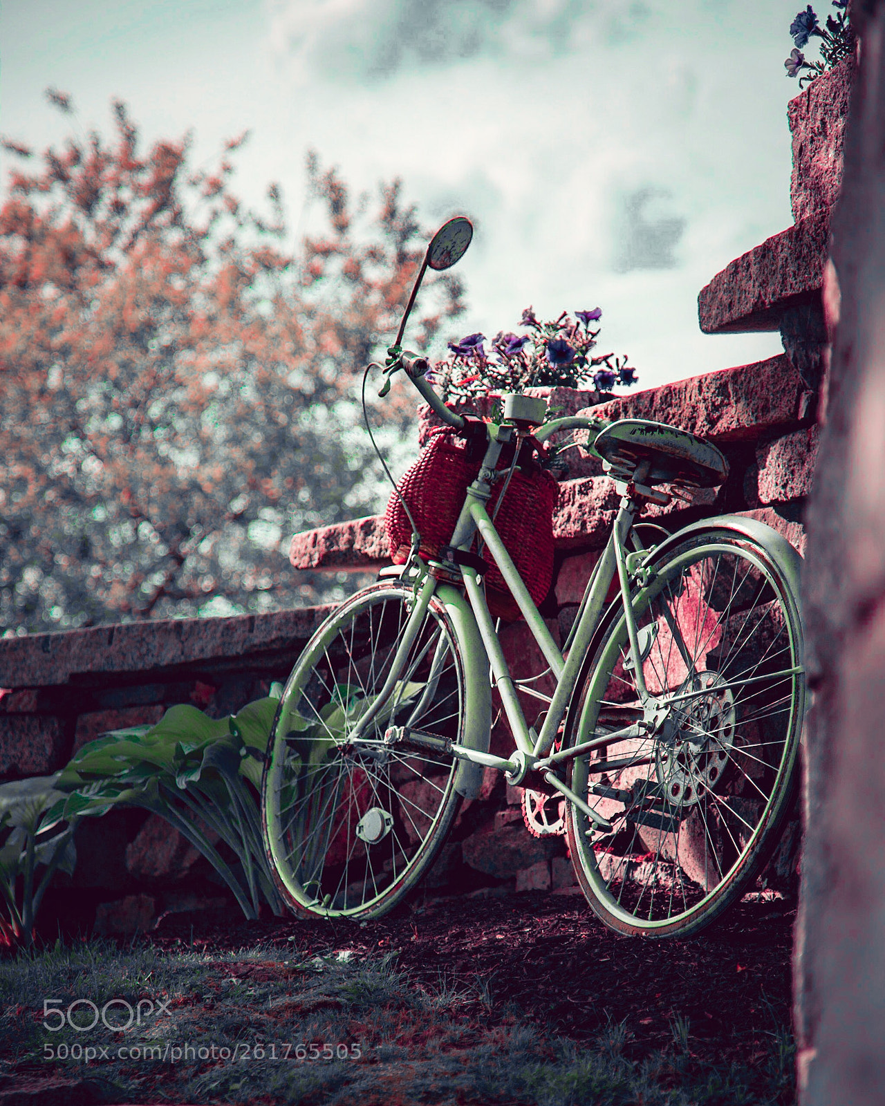 Canon EOS 6D Mark II sample photo. Untitled photography