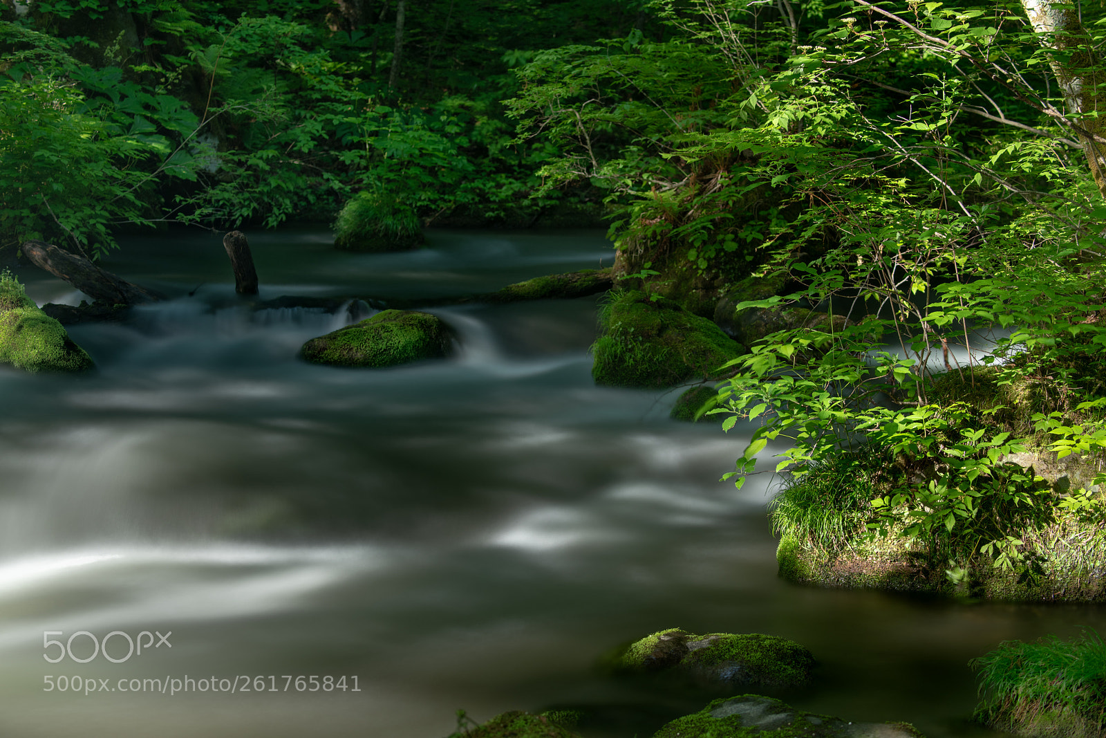 Nikon D850 sample photo. Okras gorge photography